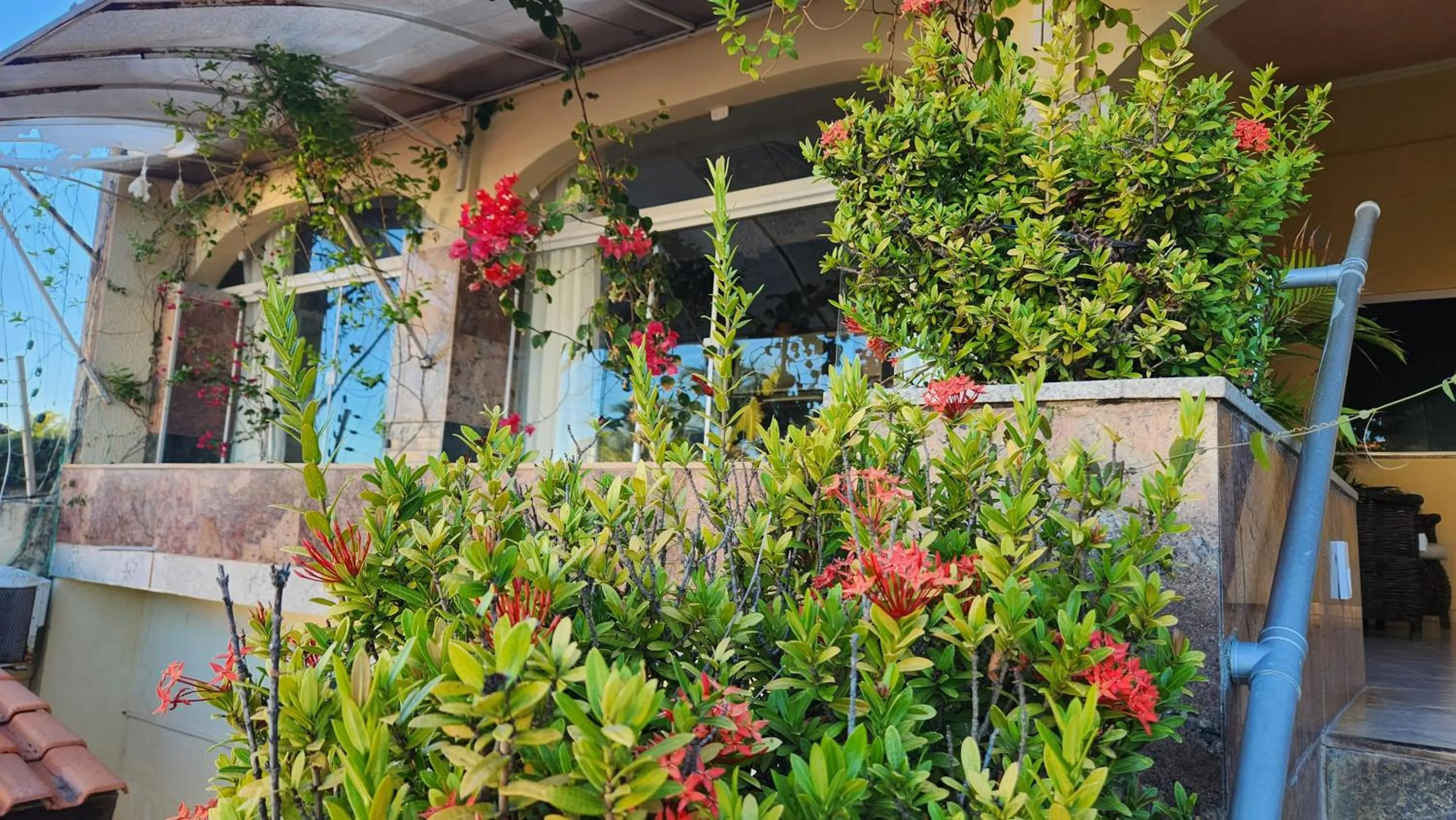 Garden in Pousada Ceará - Porto das Dunas