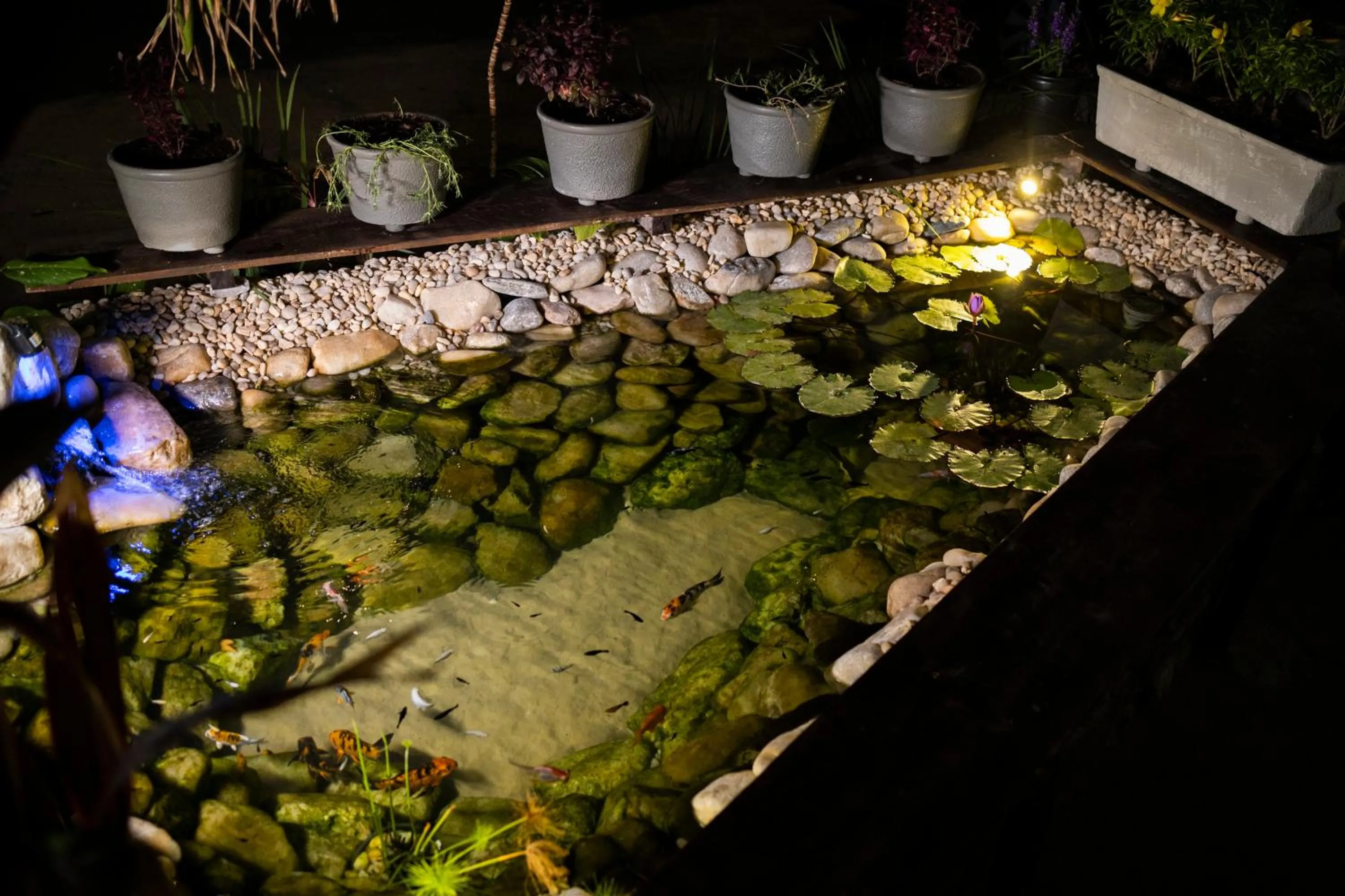 Lake view in Pousada Ceará - Porto das Dunas