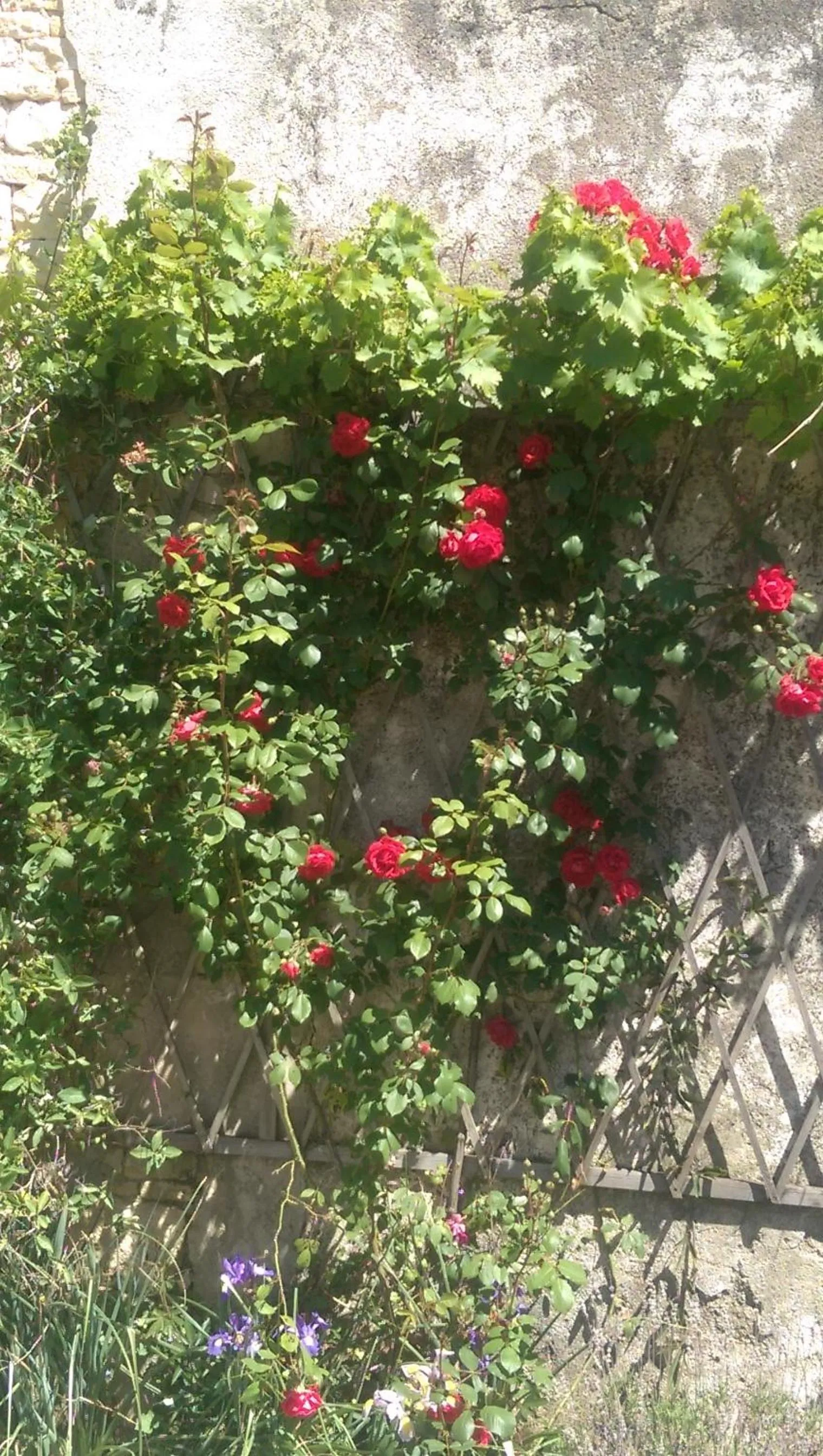 Property building in Vingt Grand Rue