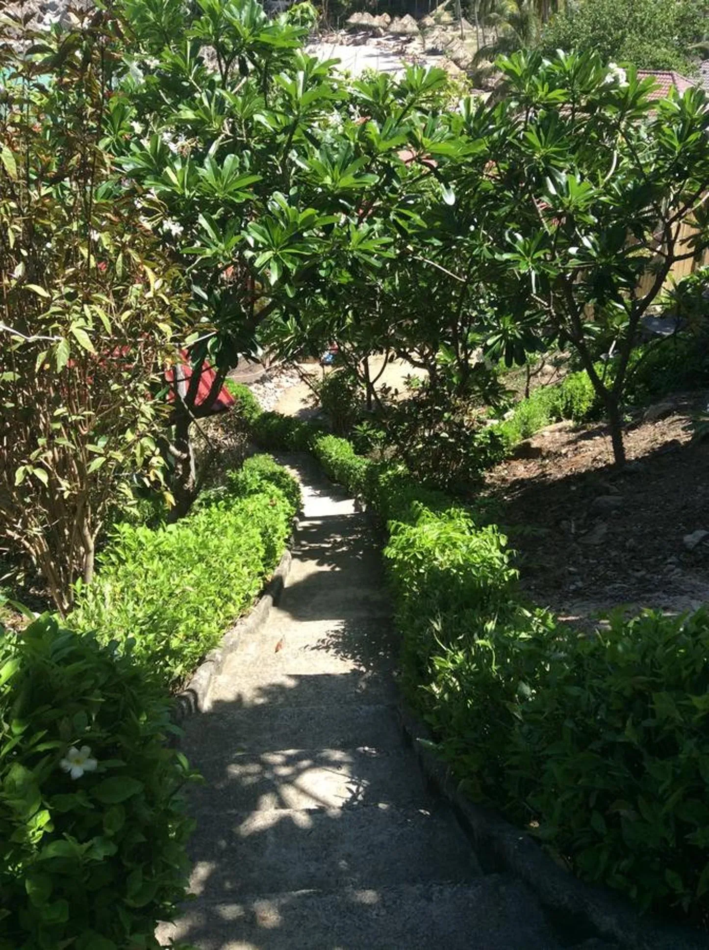 Garden in Aow Leuk Grand Hill