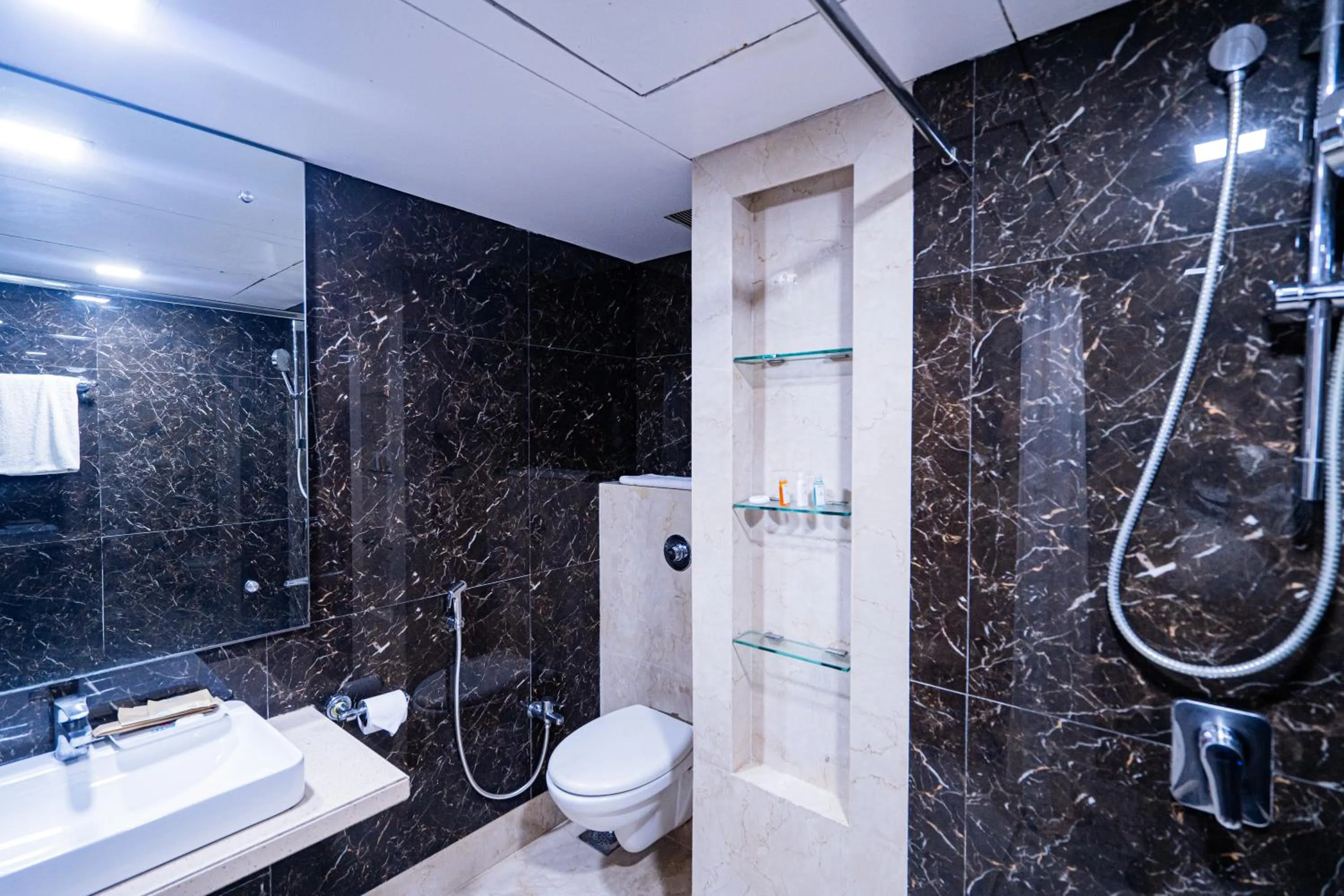 Shower in Hotel Mayura