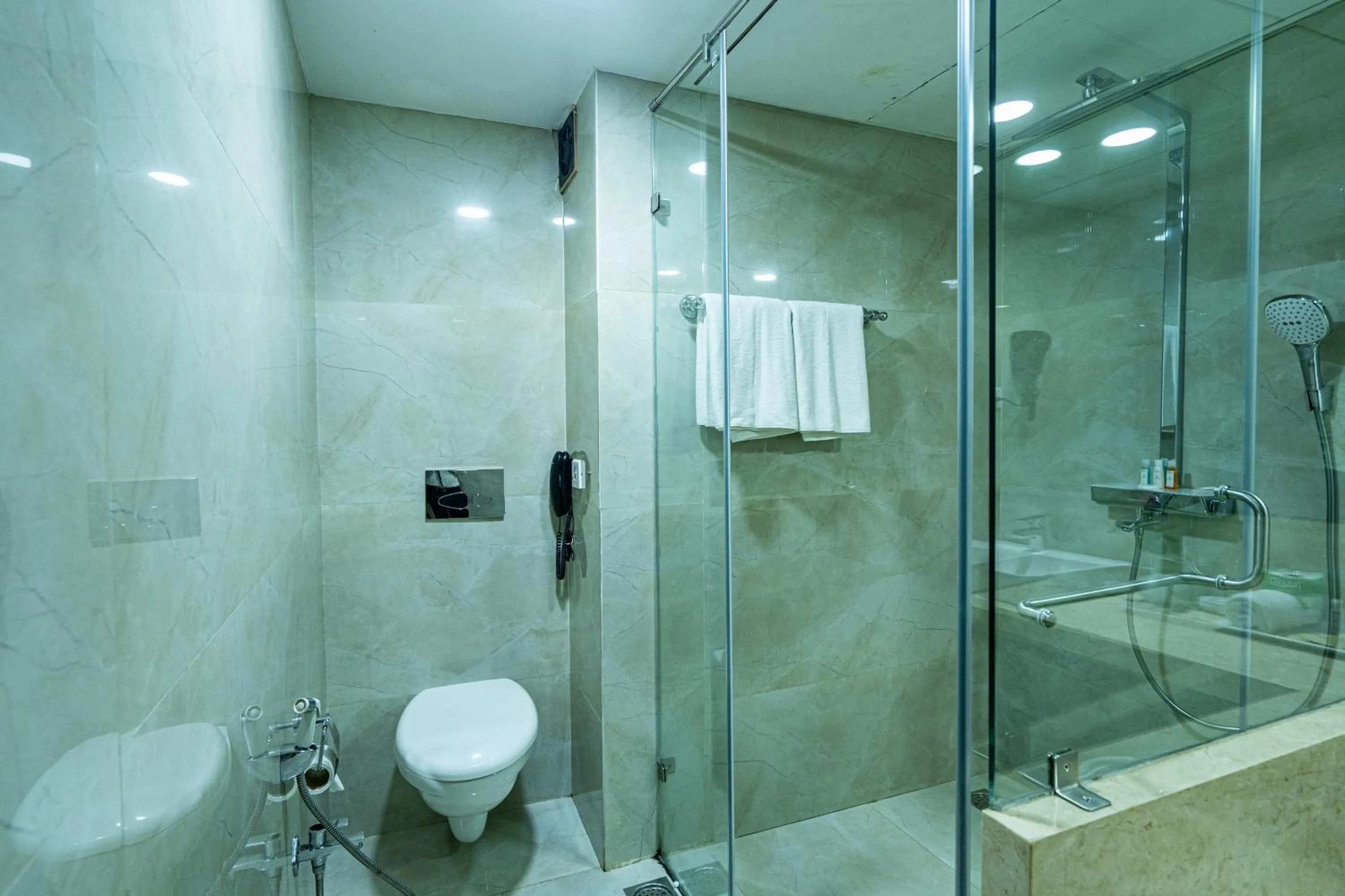 Shower in Hotel Mayura