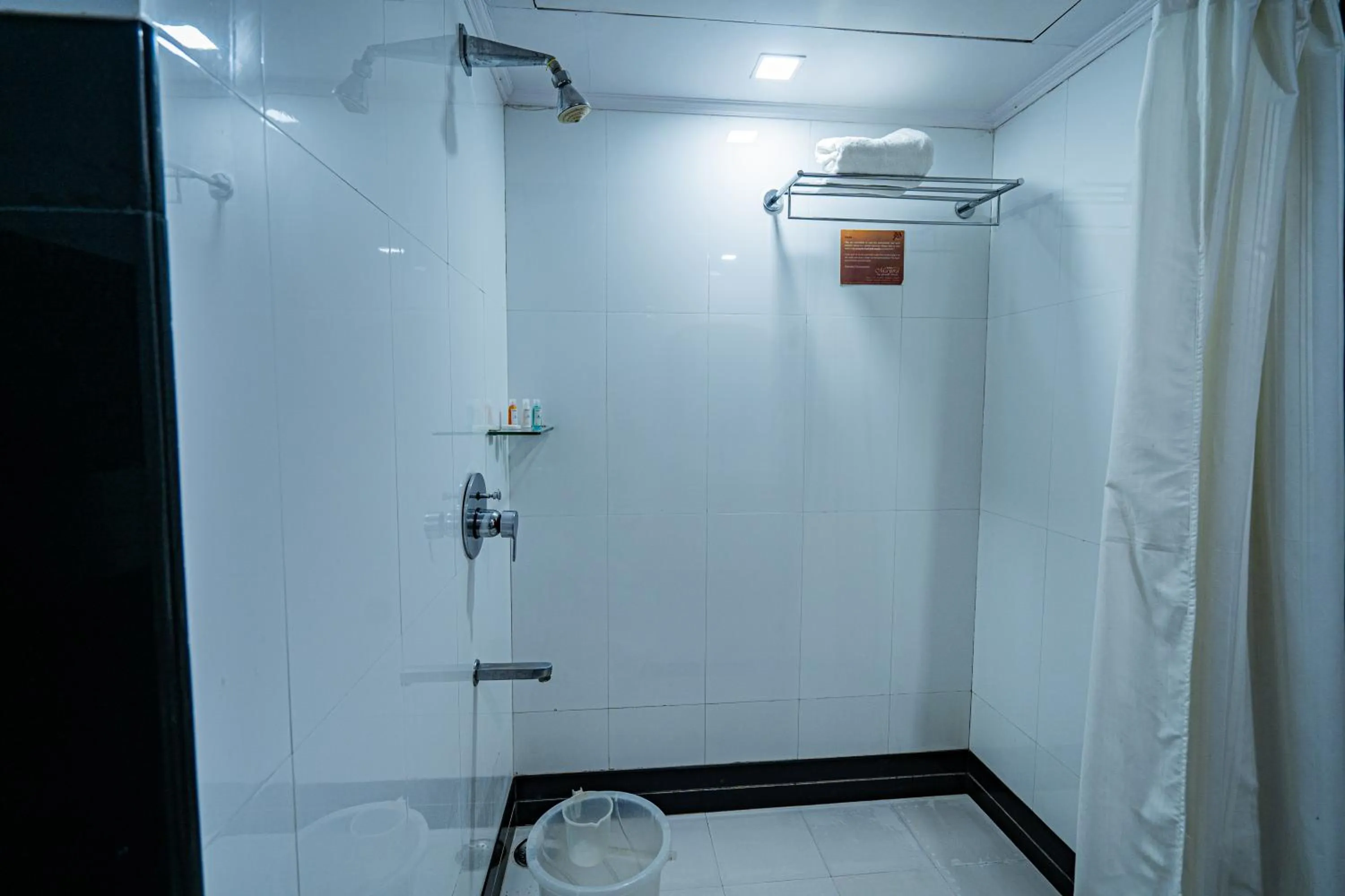 Shower in Hotel Mayura