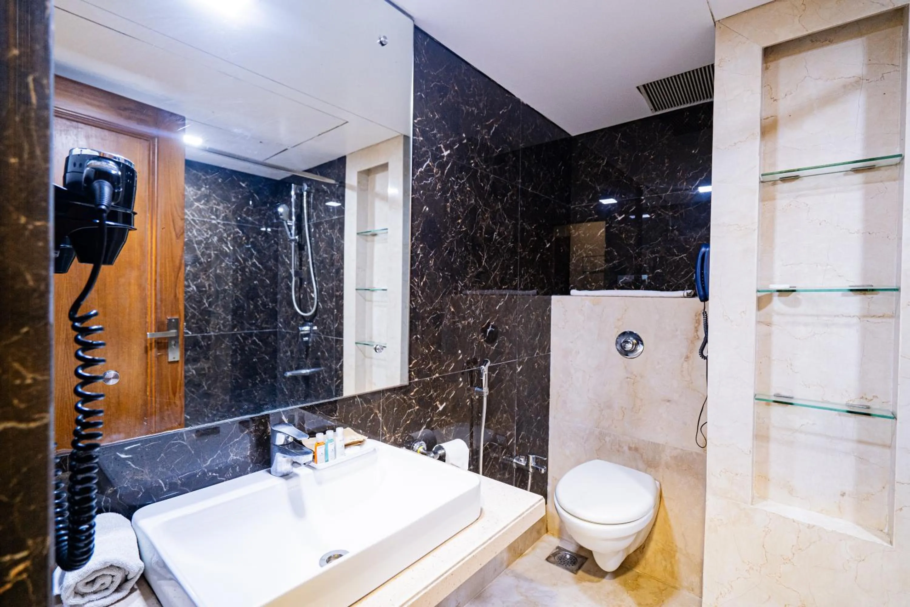 Shower in Hotel Mayura