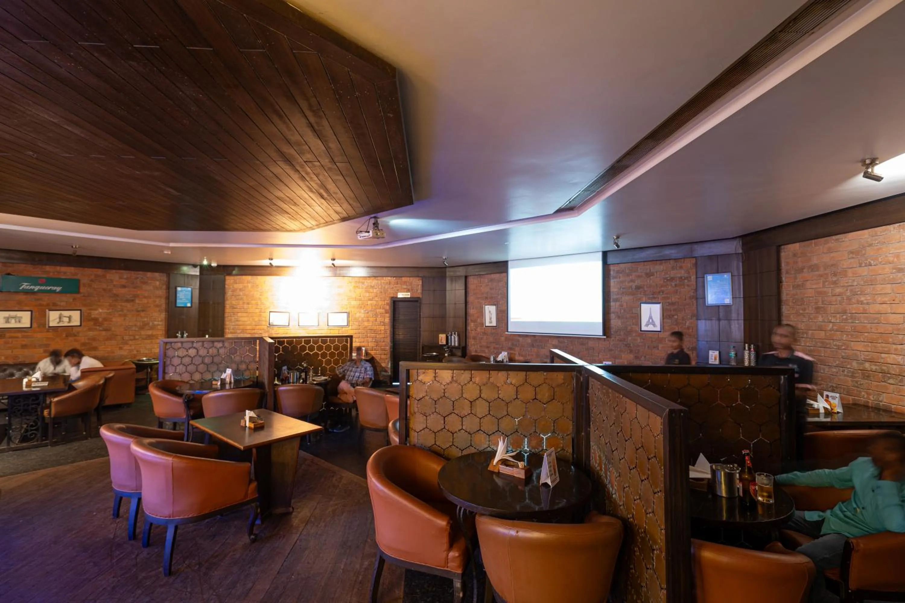 TV and multimedia in Hotel Mayura