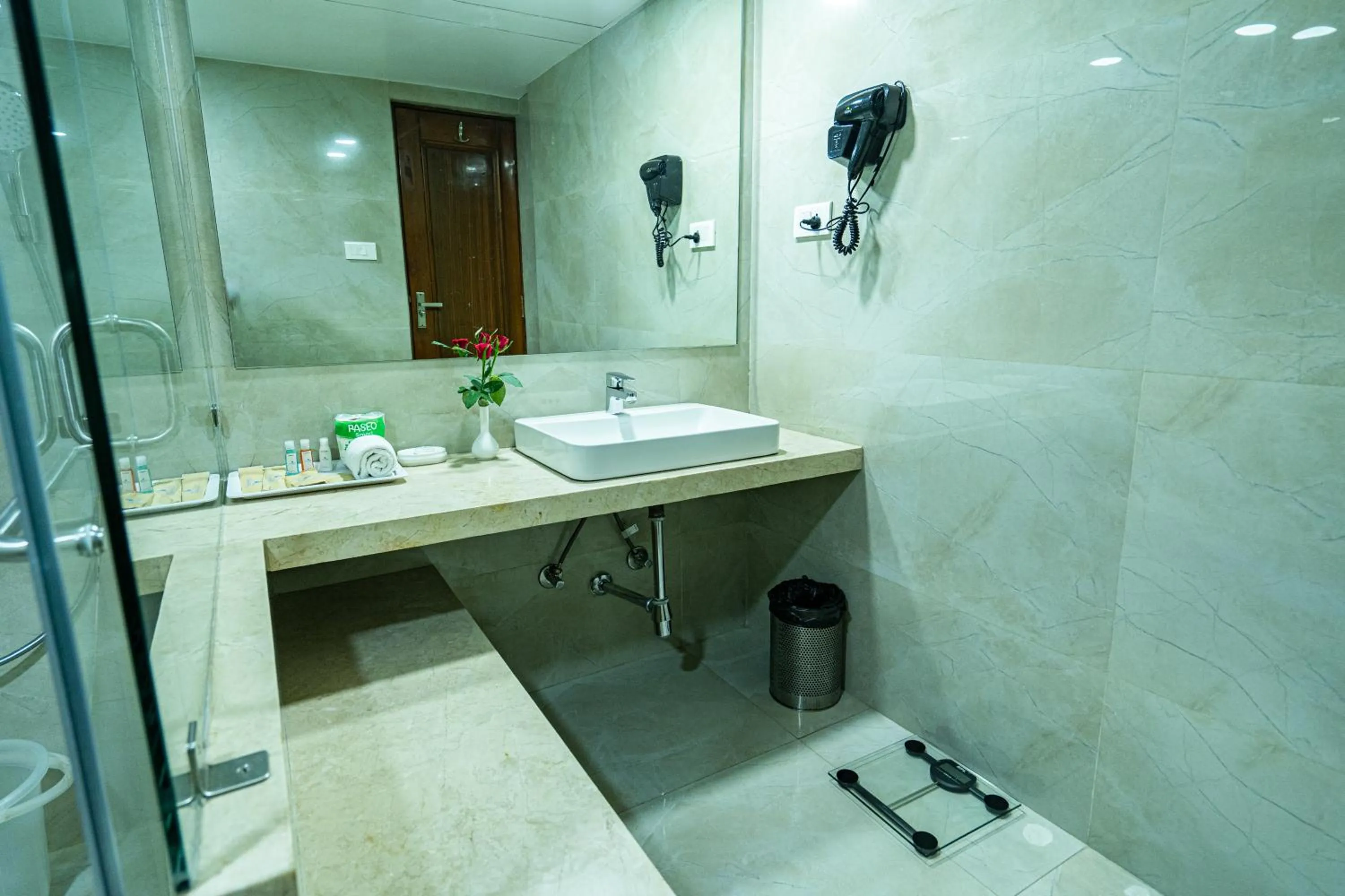 Shower in Hotel Mayura