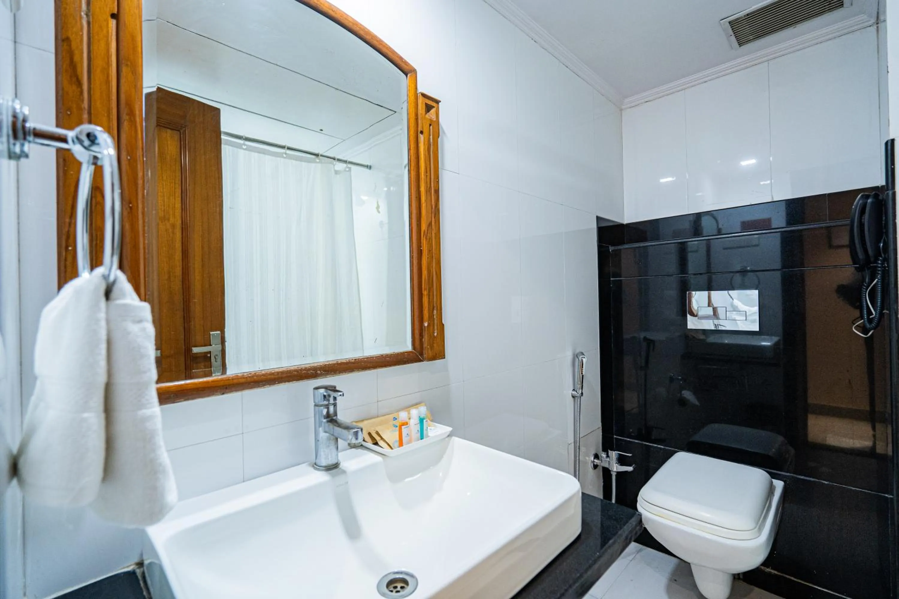 Shower in Hotel Mayura