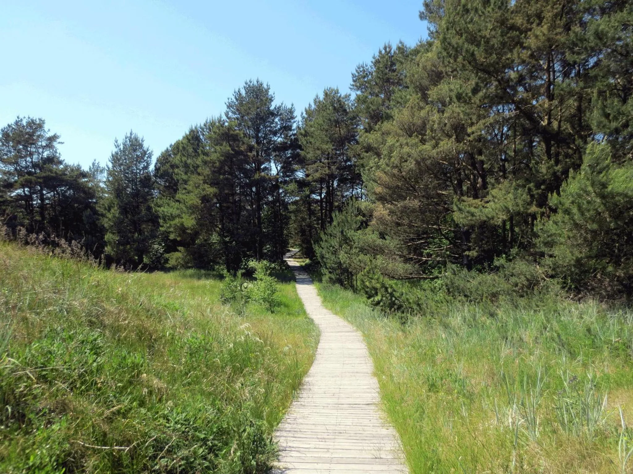 Natural landscape in Meridia - Sventoji