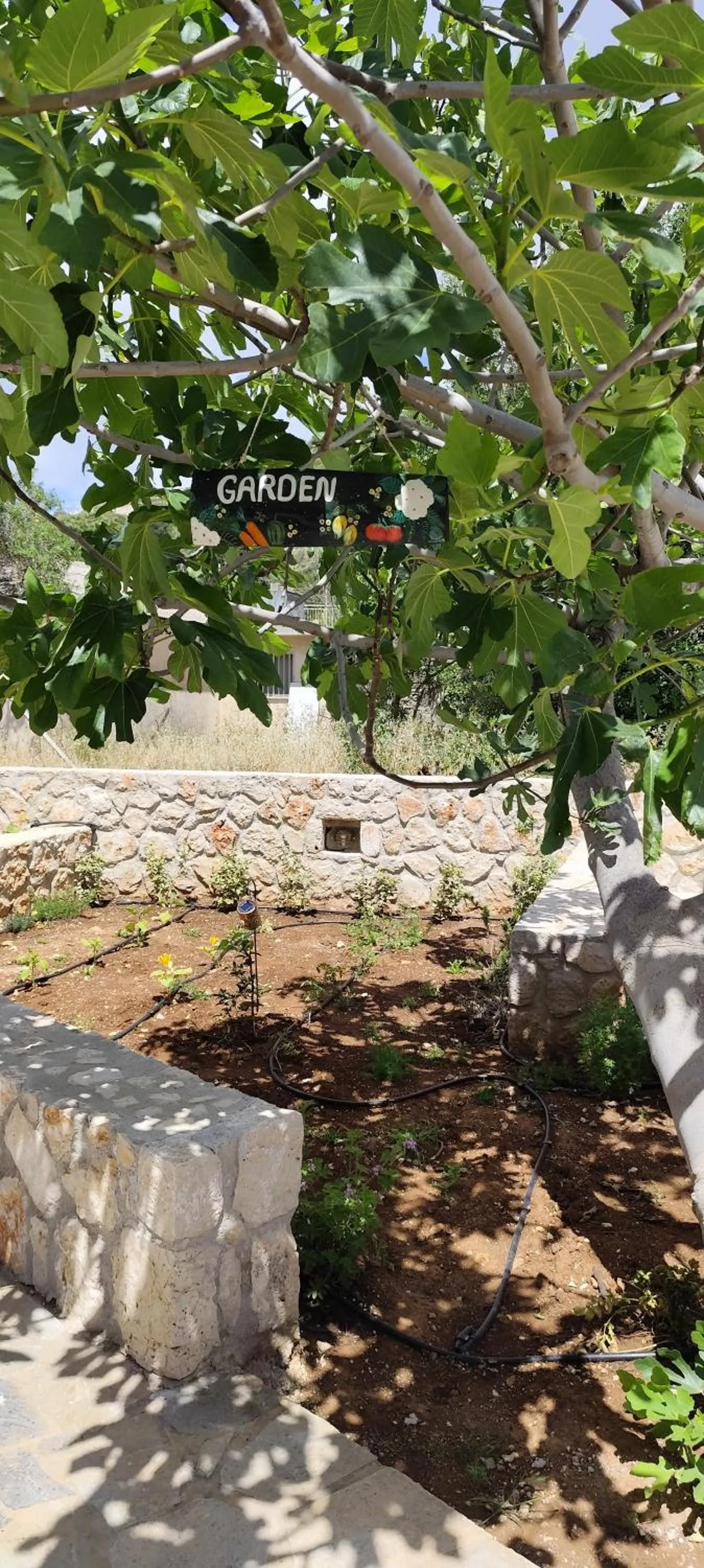 Garden in Casa de Calma