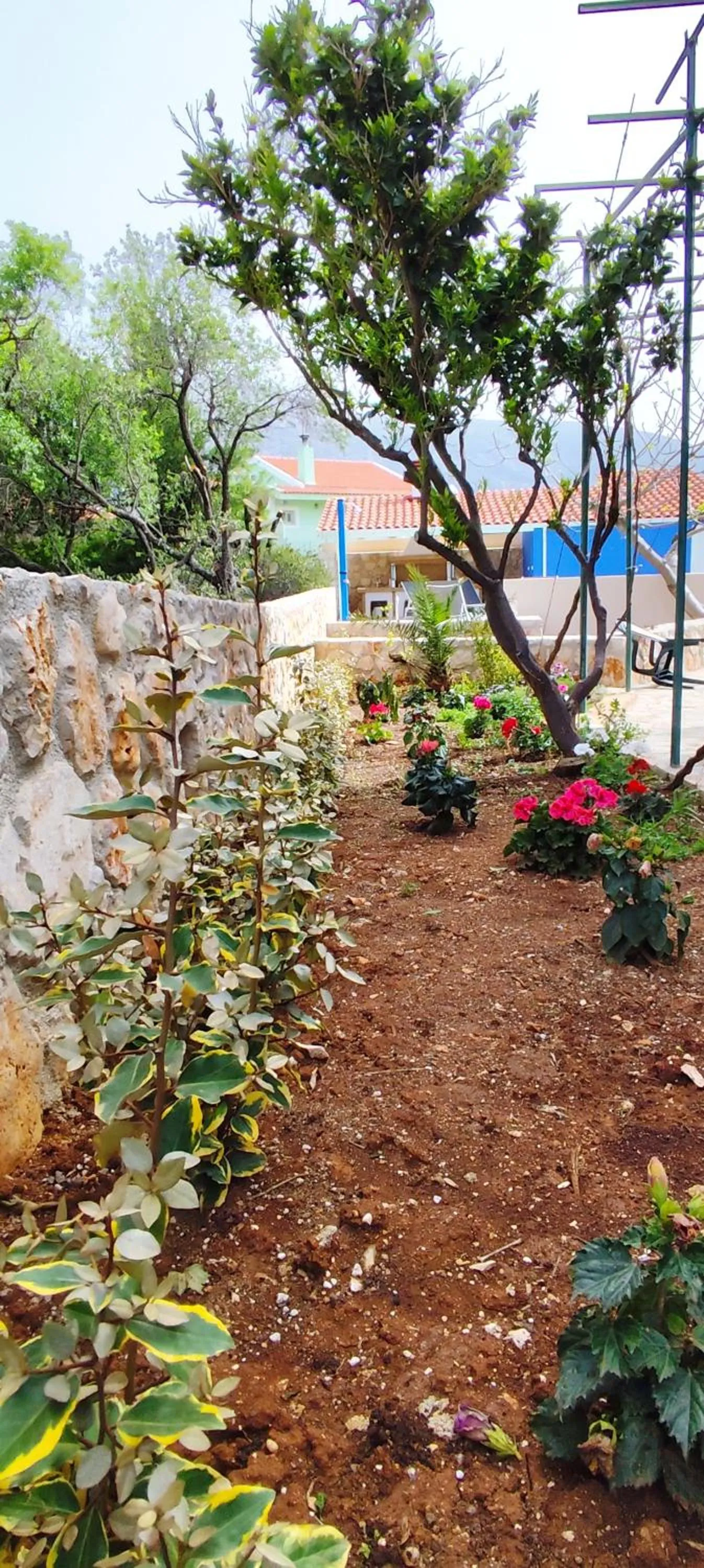 Garden in Casa de Calma