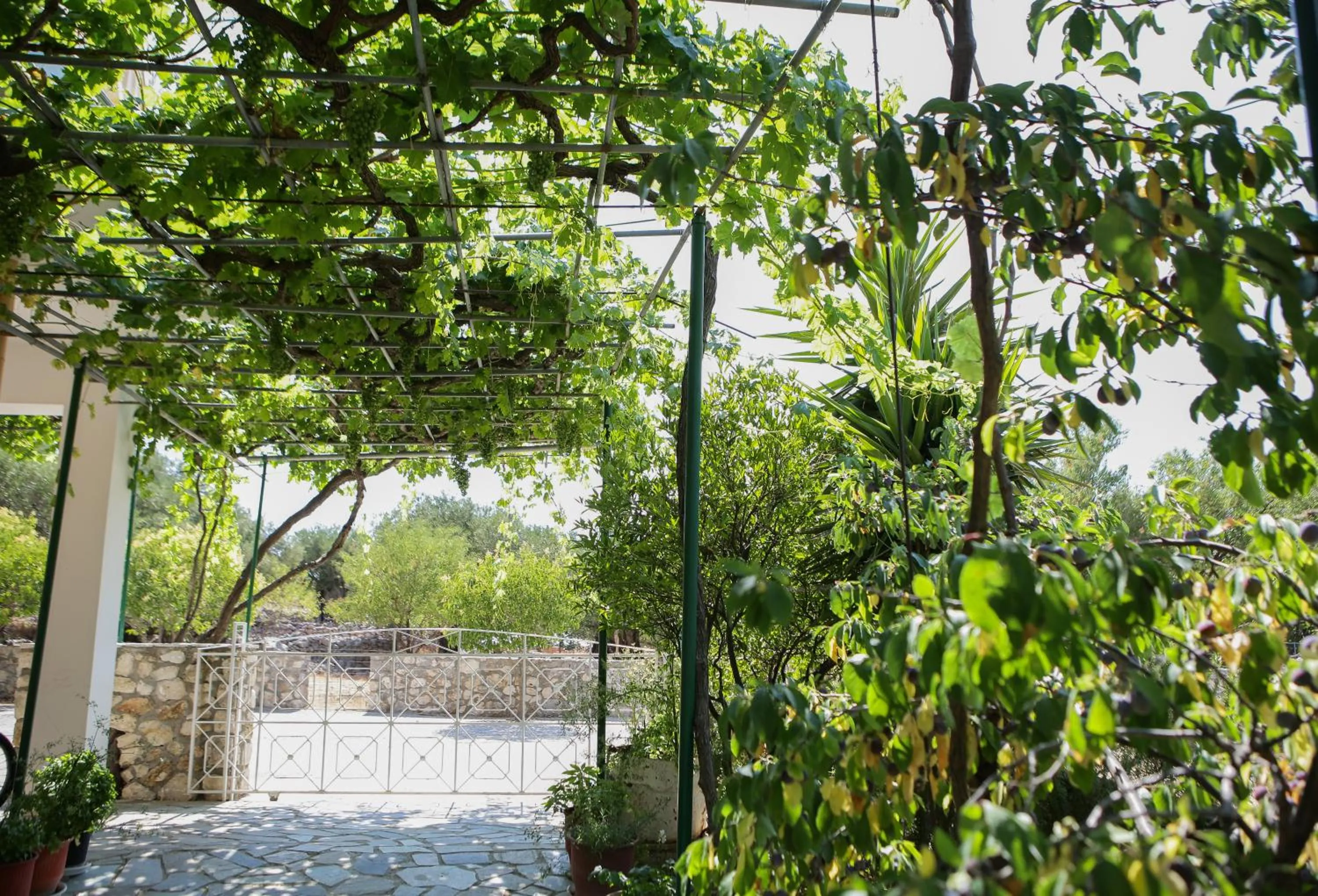 Garden in Casa de Calma
