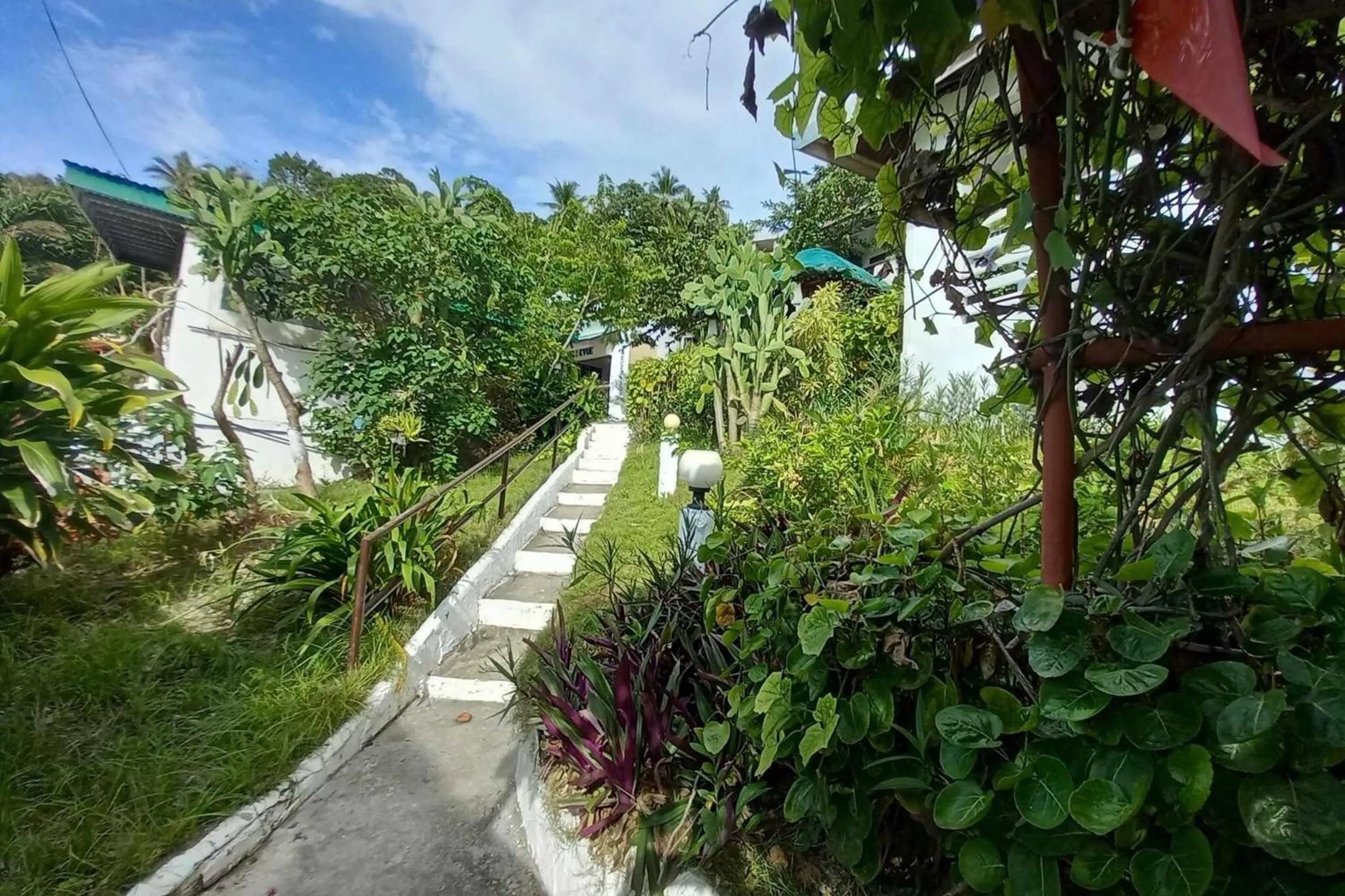 Garden view in Bellevue Resort Puerto Galera