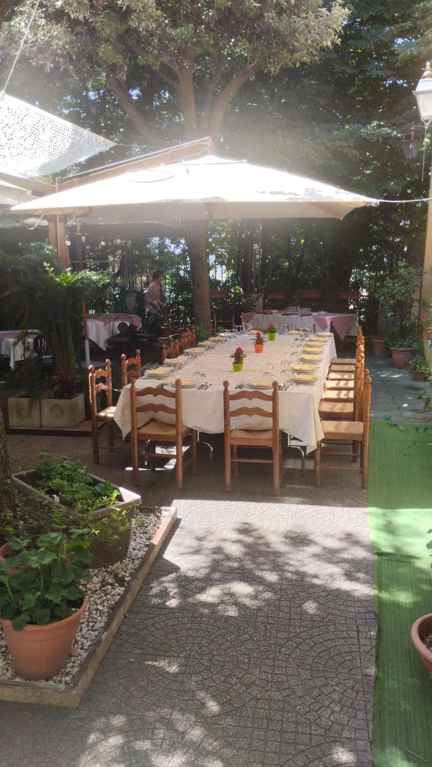 Restaurant/places to eat in Hotel Ristorante Stella