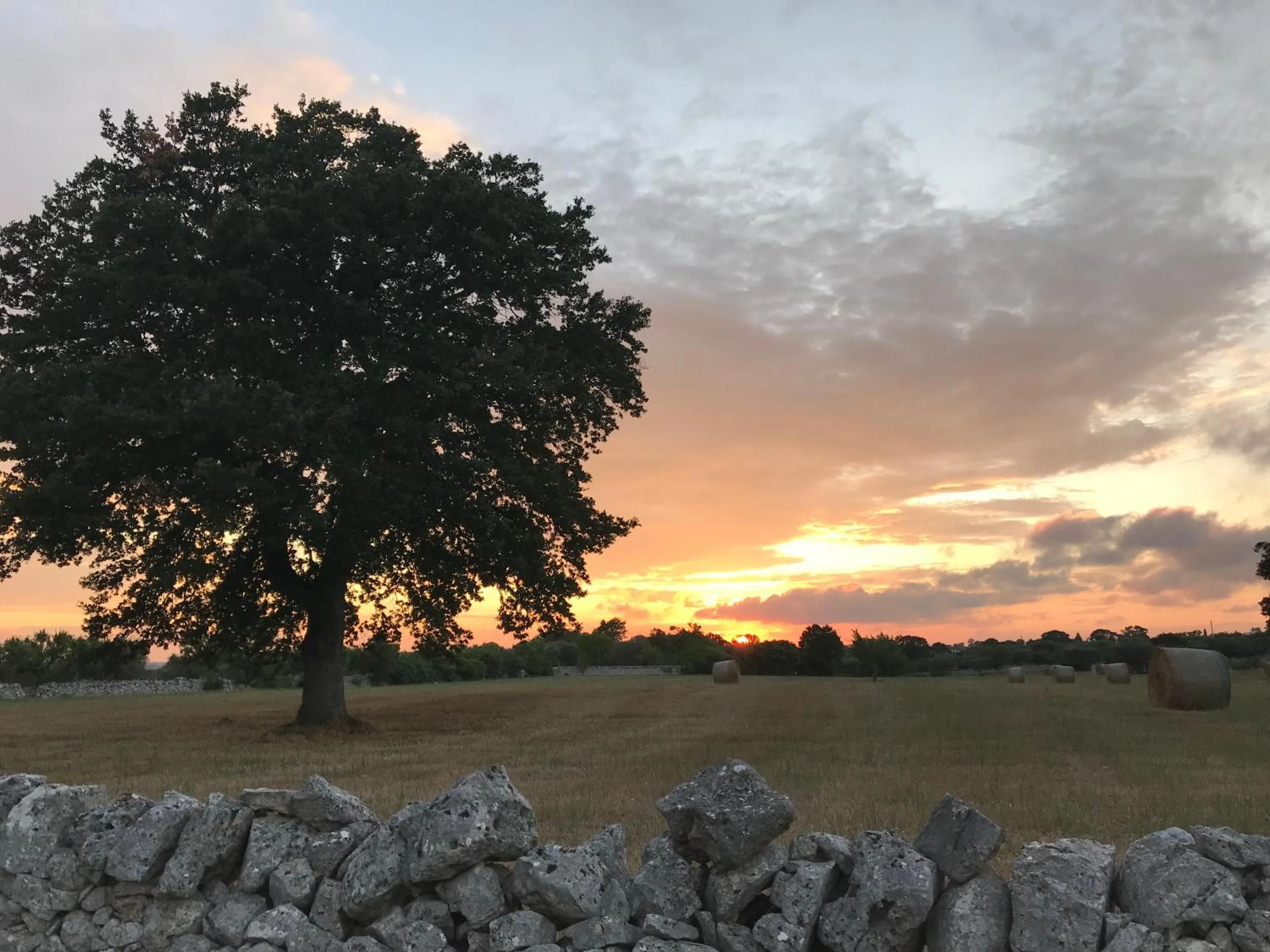 Other in Aria di Casa Country Resort