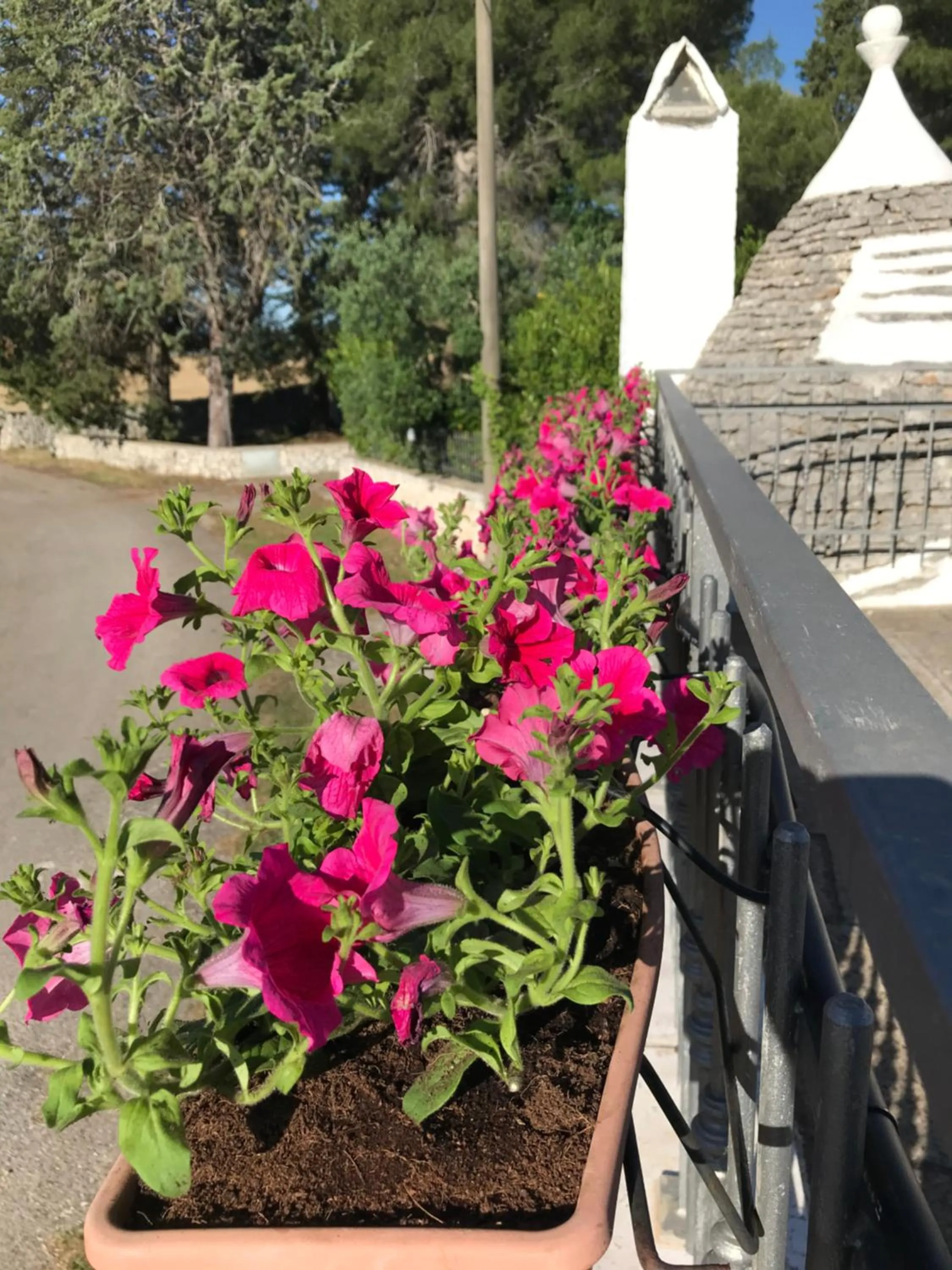 Balcony/Terrace in Aria di Casa Country Resort