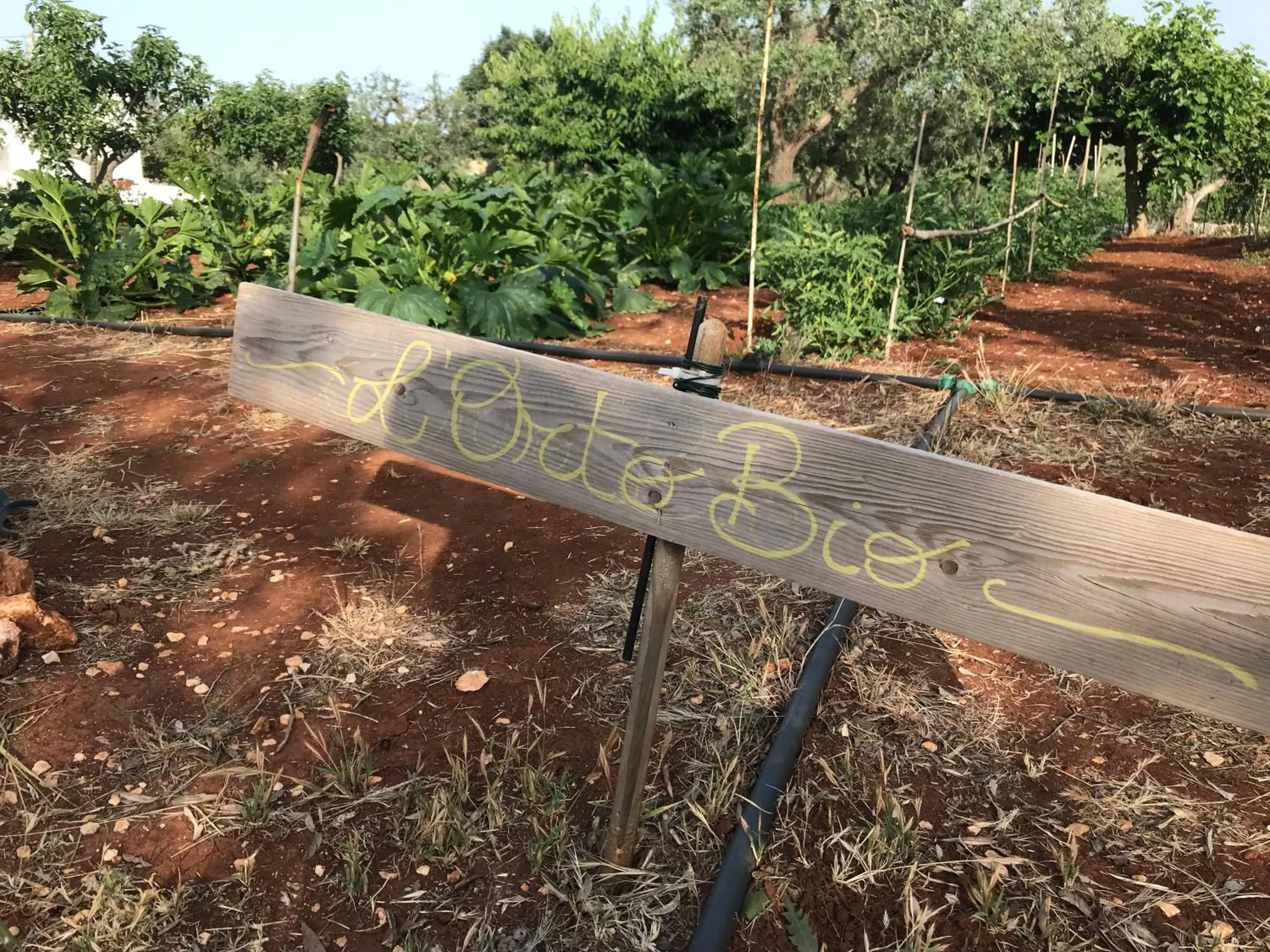 Inner courtyard view in Aria di Casa Country Resort