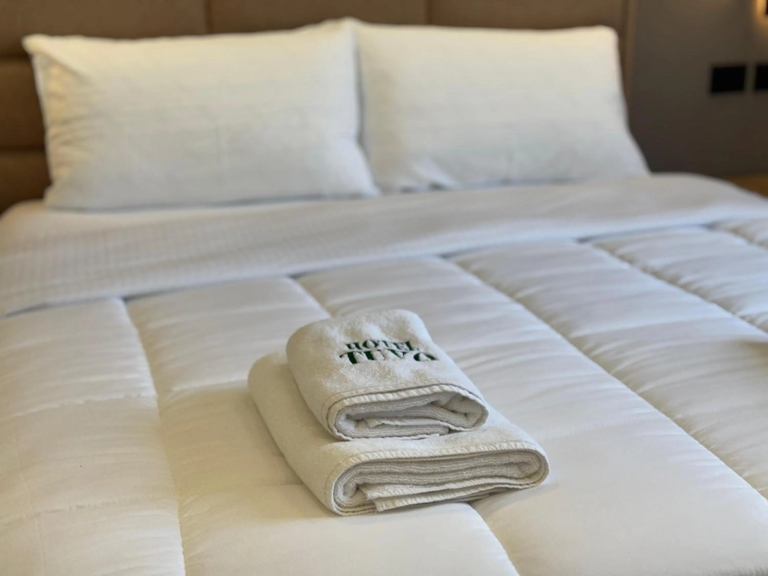 Hotel Tuyo
