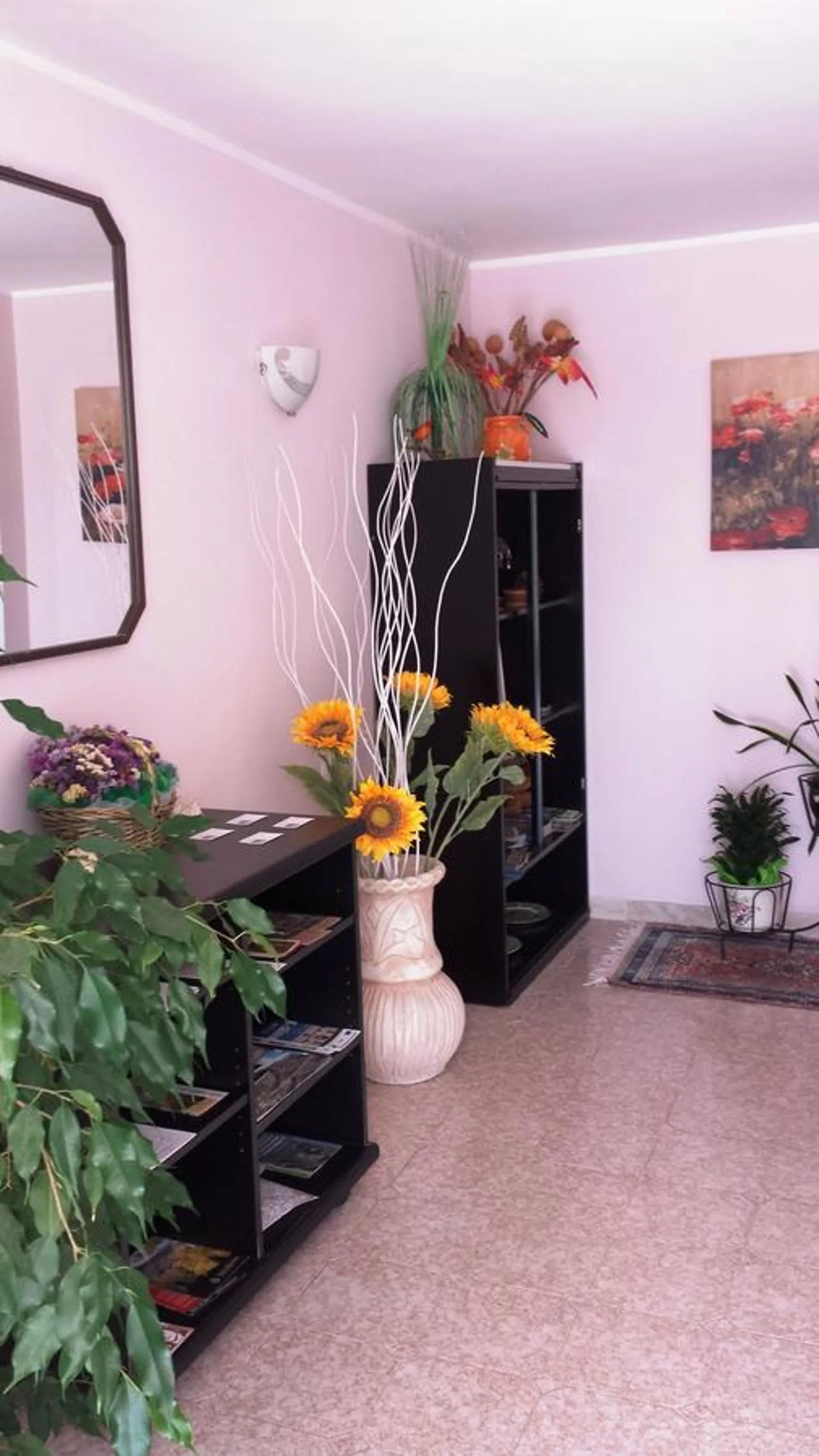 Activities in B&B Stella dell'Adriatico