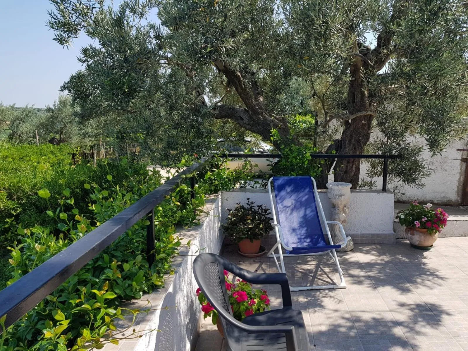 Neighbourhood in B&B Stella dell'Adriatico