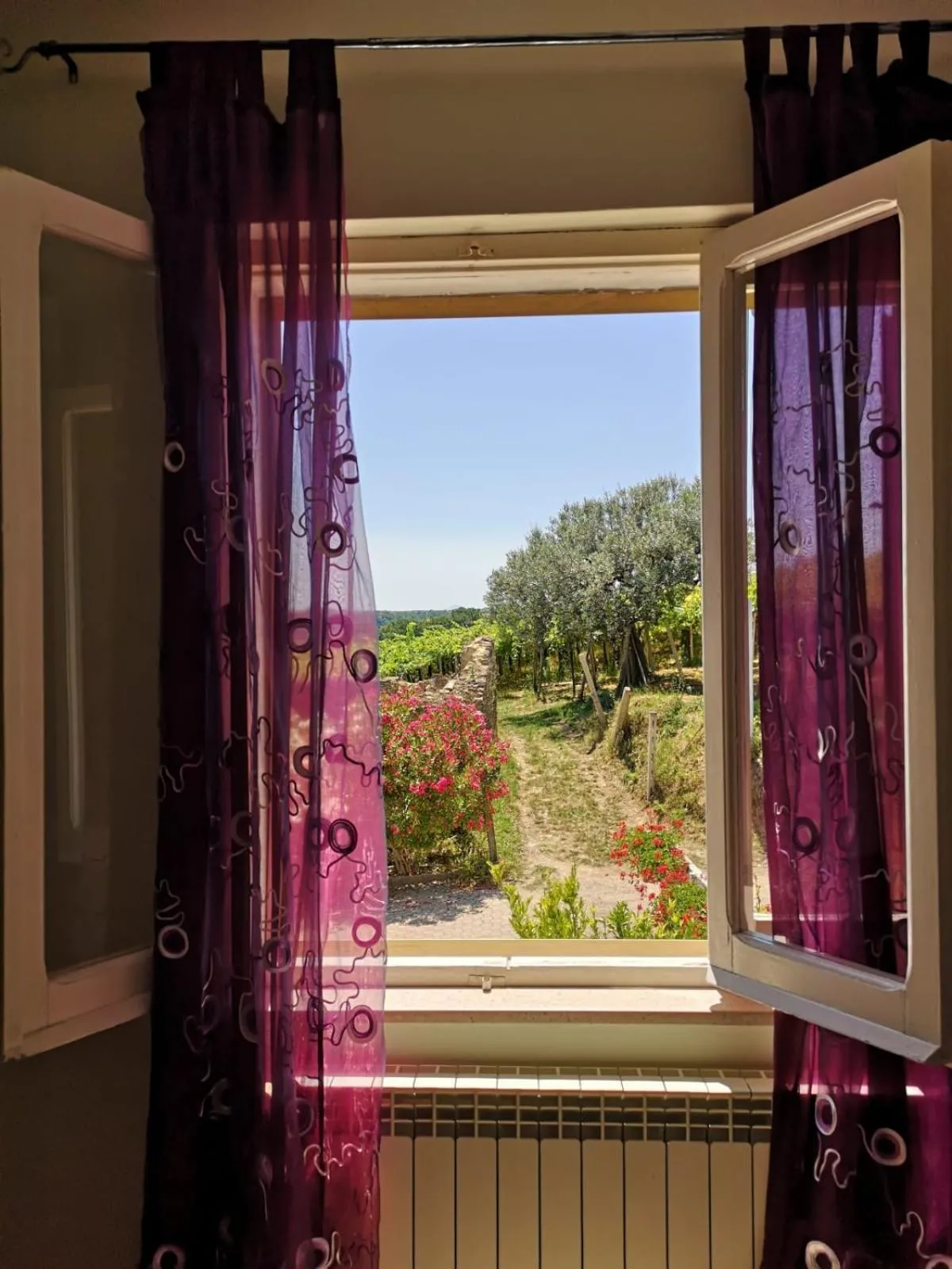 Property building in B&B Stella dell'Adriatico