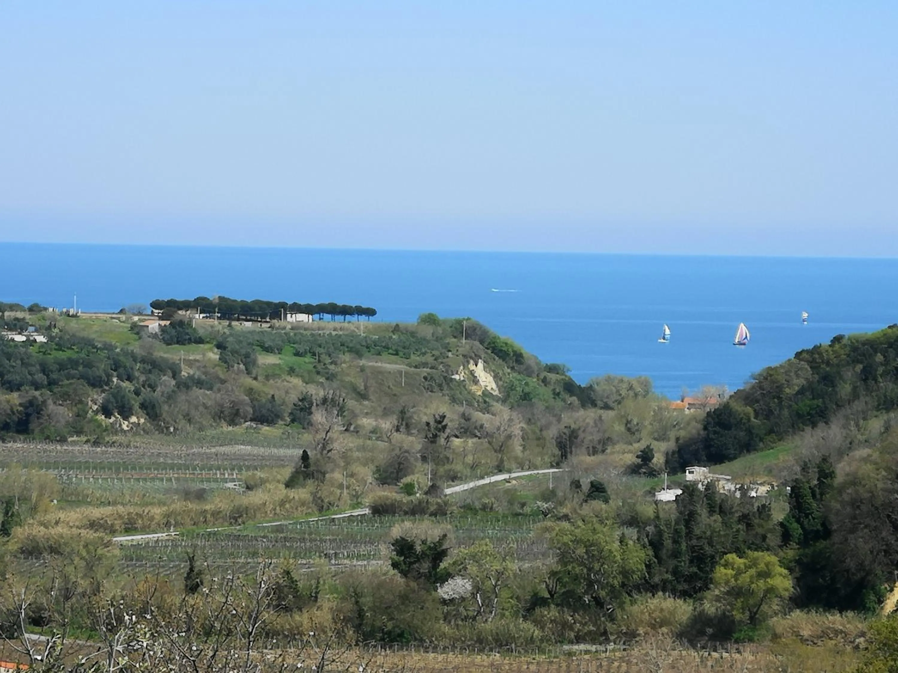 Natural landscape in B&B Stella dell'Adriatico