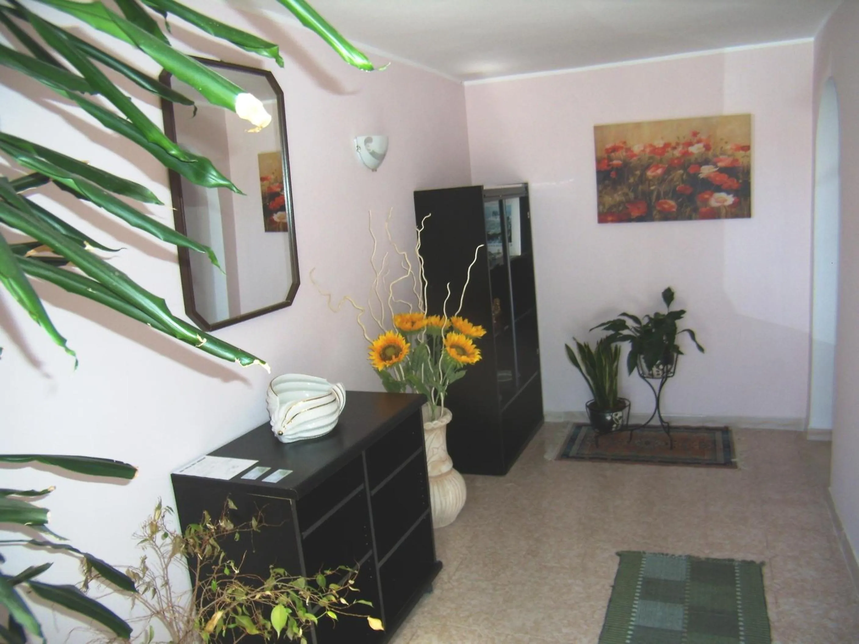 Activities in B&B Stella dell'Adriatico