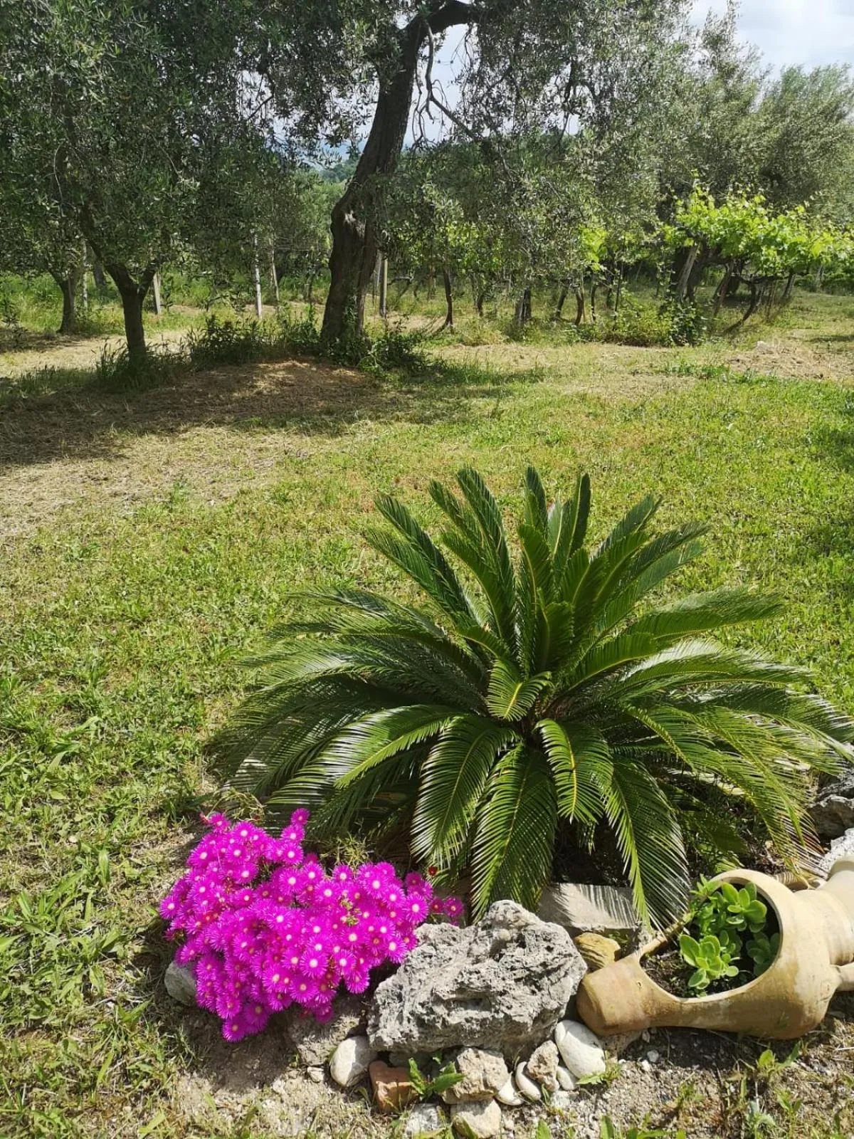 Natural landscape in B&B Stella dell'Adriatico