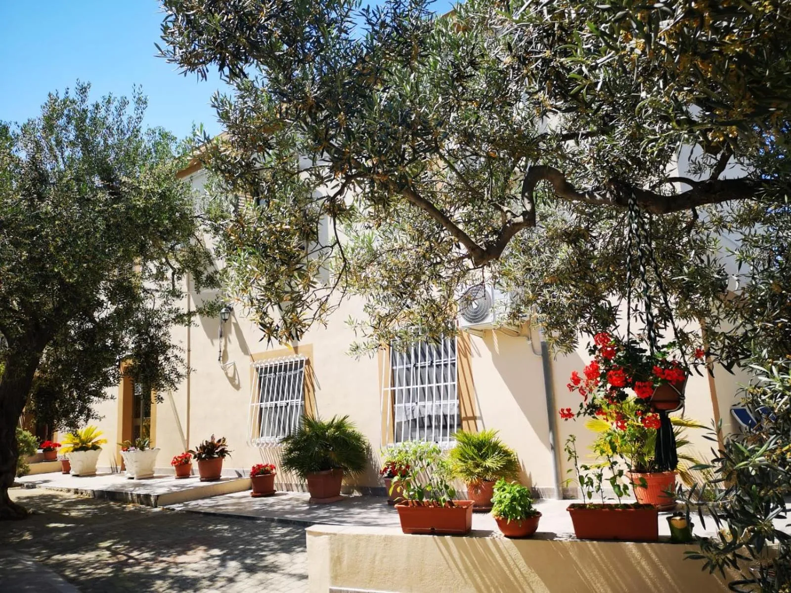 Property building in B&B Stella dell'Adriatico