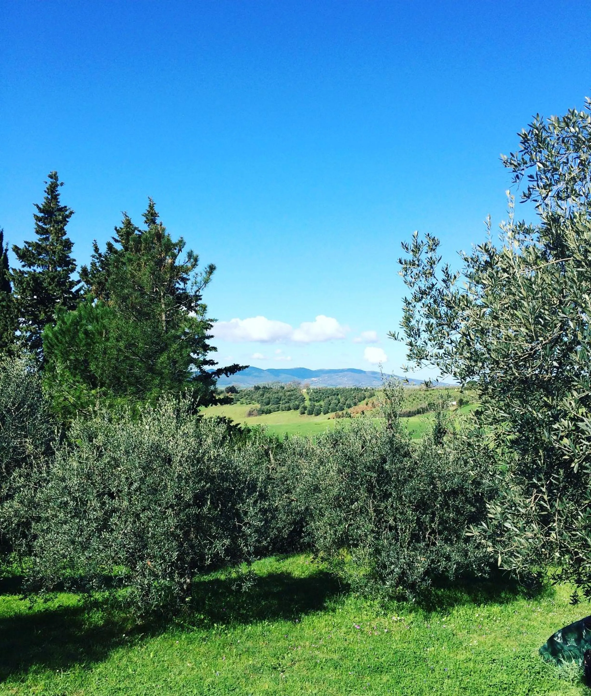 Garden view in La Locanda del Barbagianni