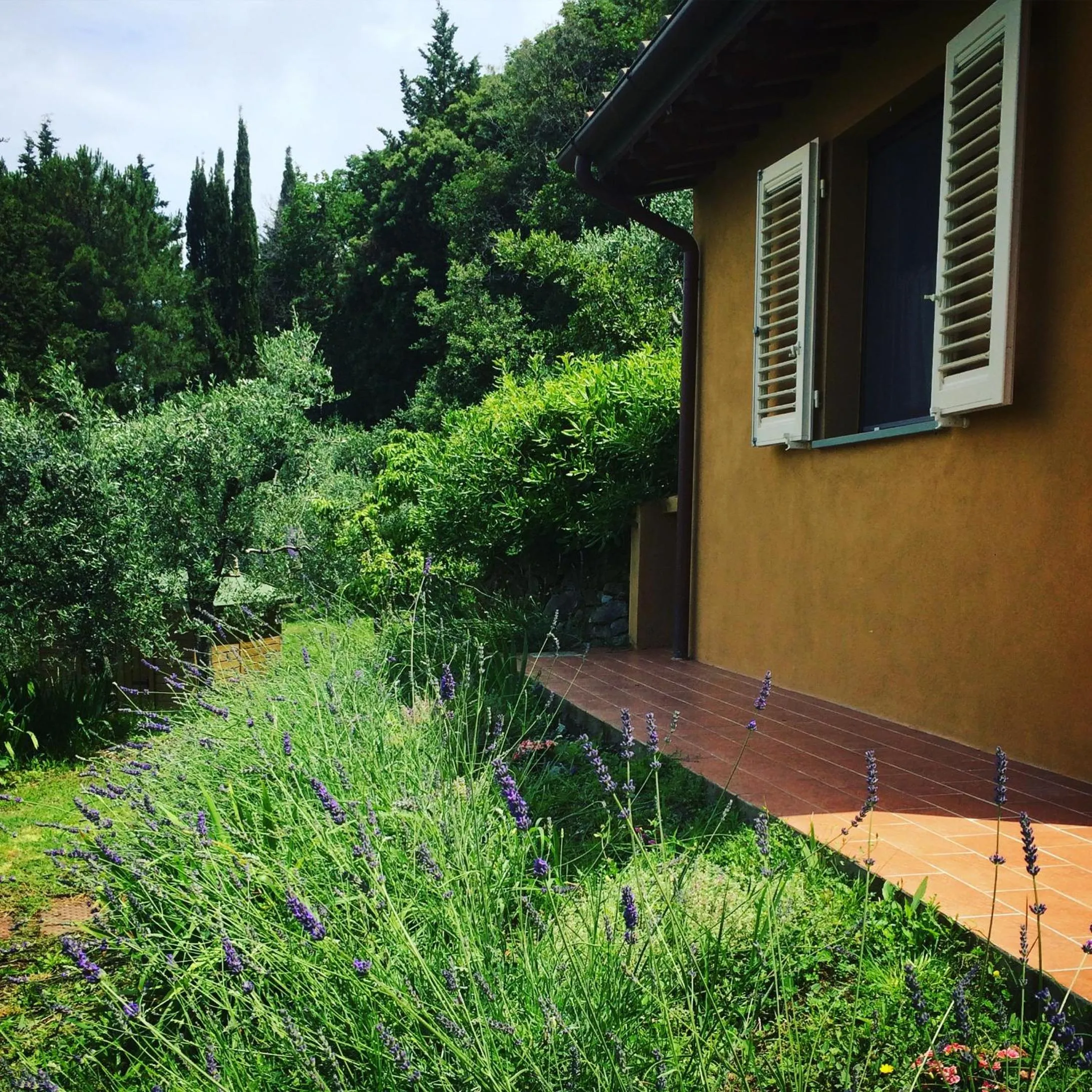 Property building in La Locanda del Barbagianni