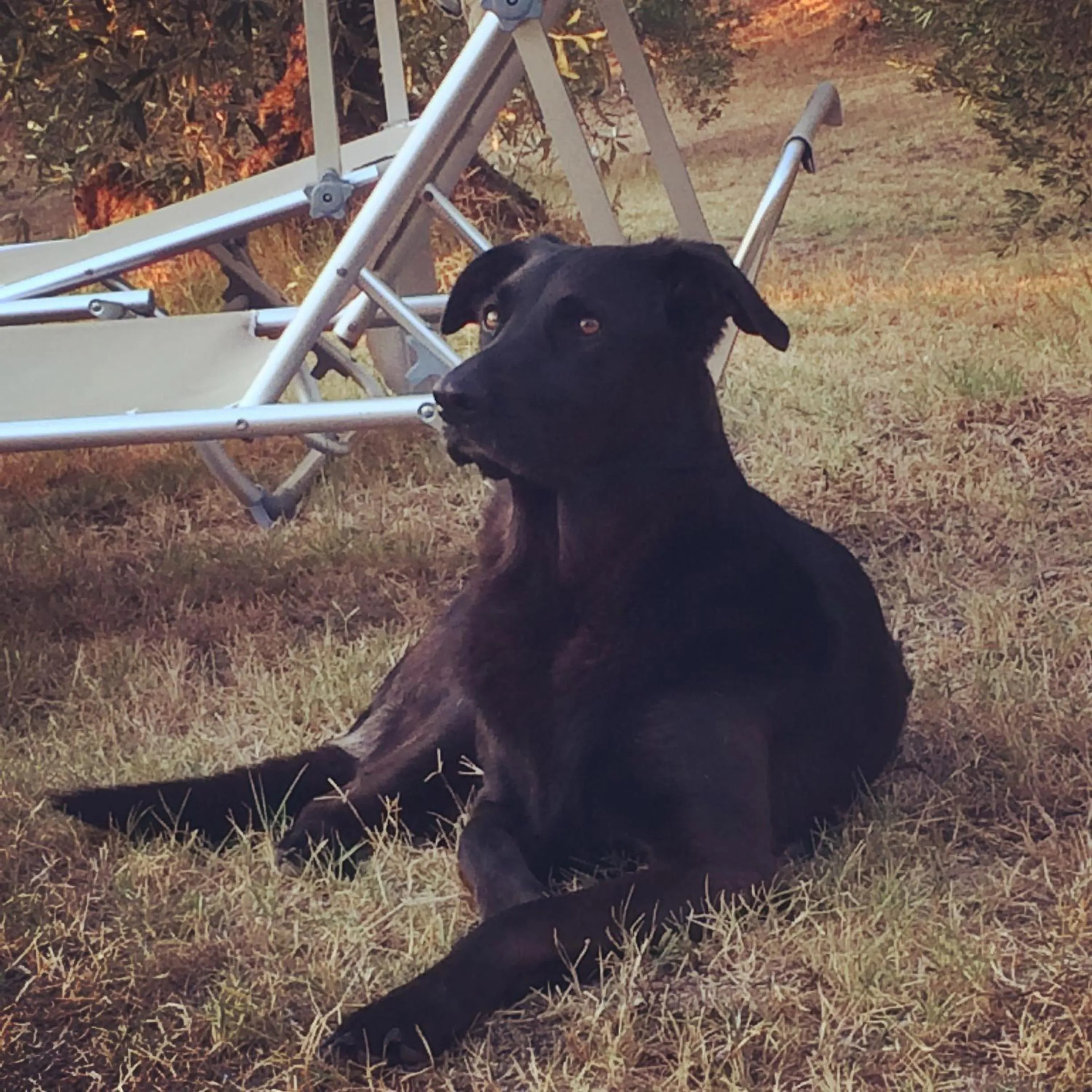 Garden in La Locanda del Barbagianni