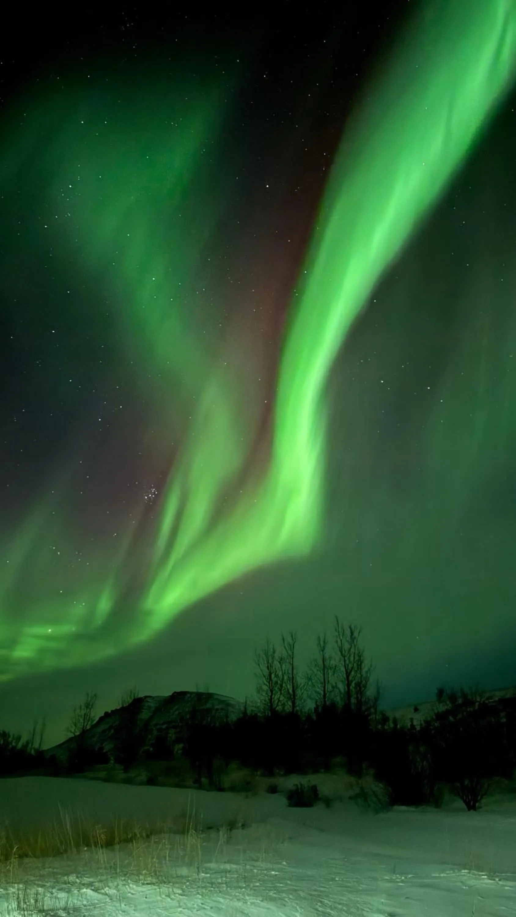 Fossatun Camping Pods & Cottages - Sleeping Bag Accommodation