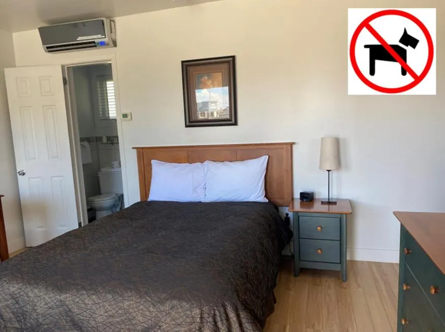 Bed in Motel Centre-Ville