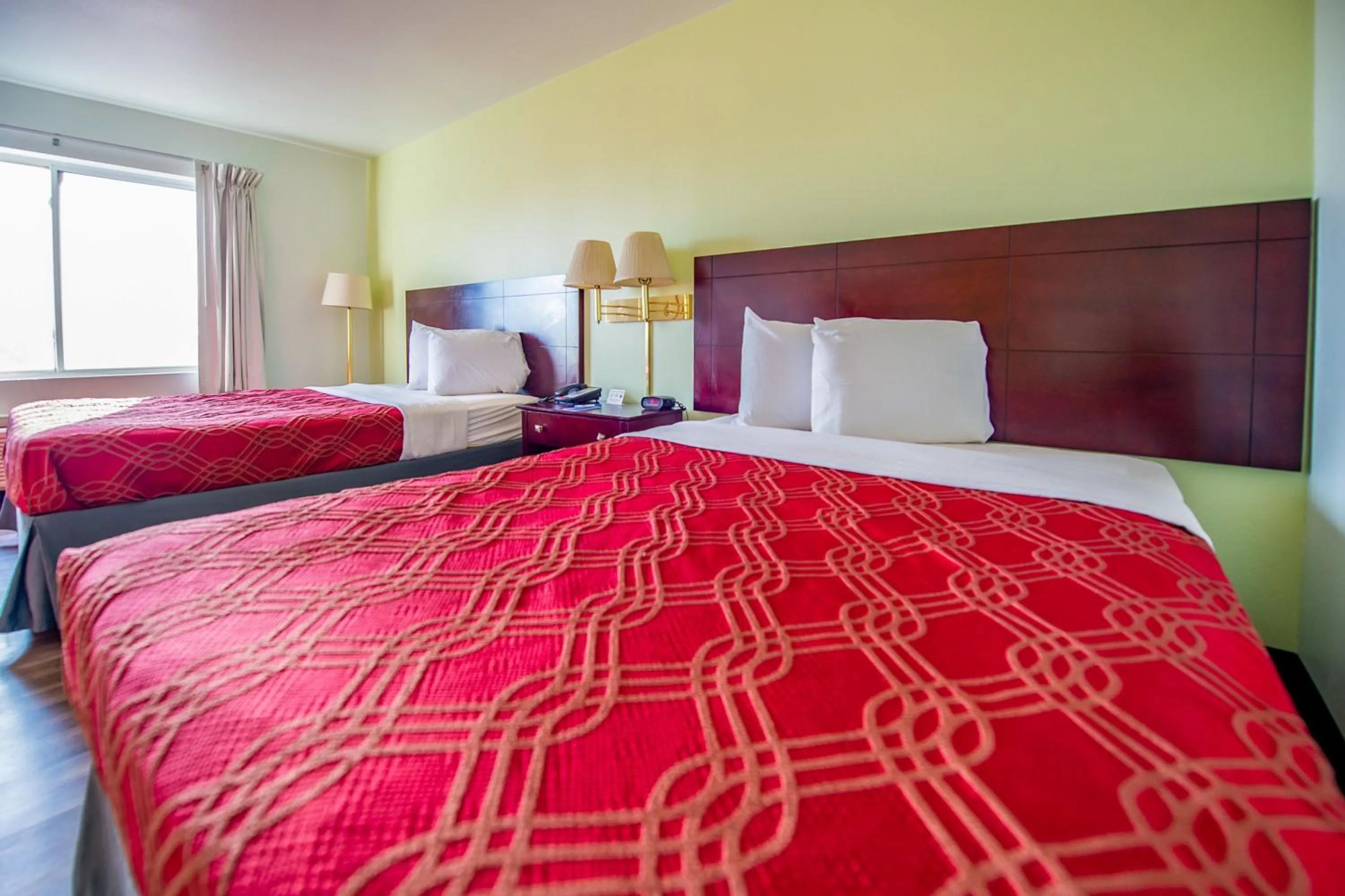 Bed in Rodeway Inn Central Colorado Springs