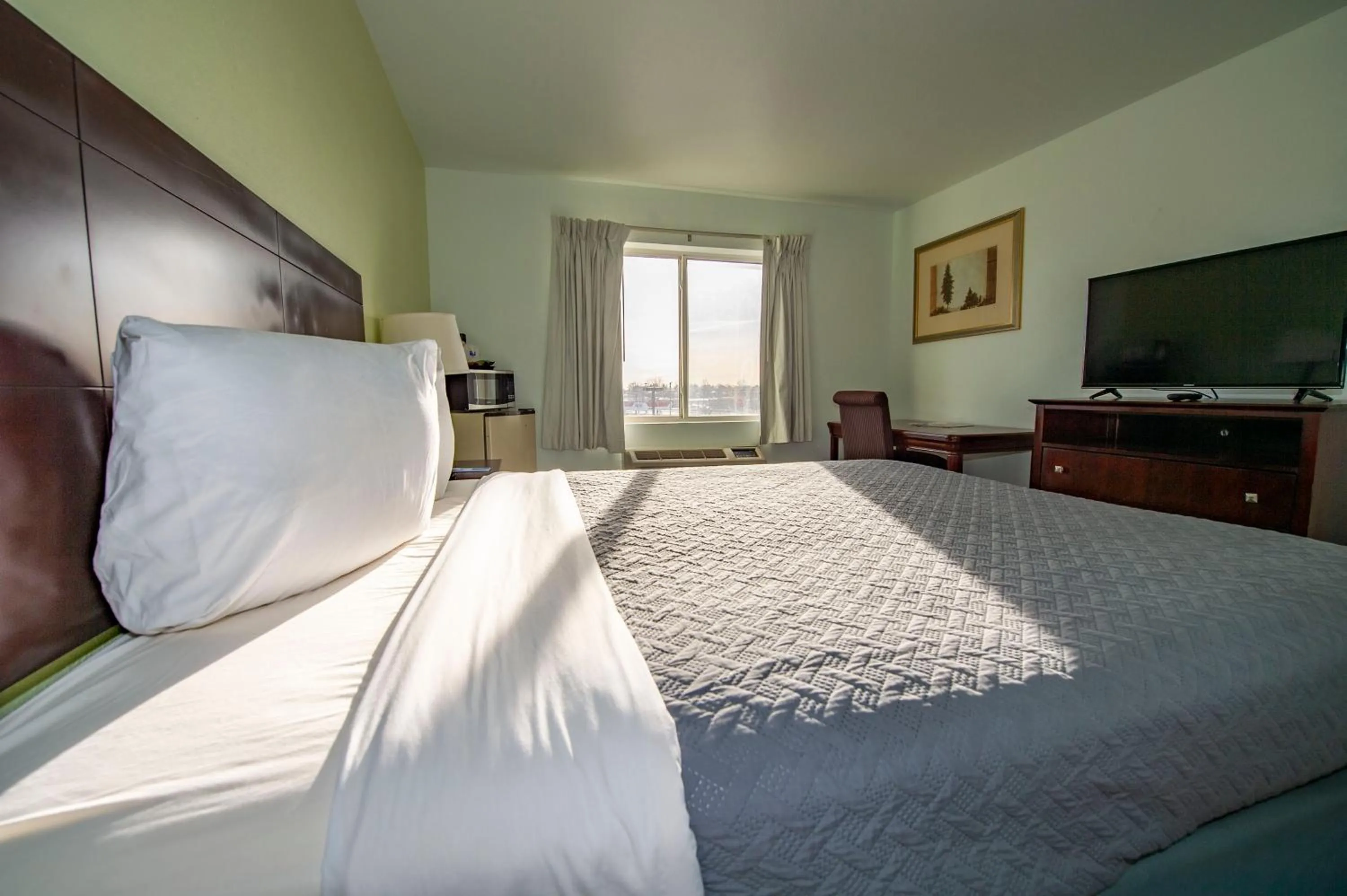 Bed in Rodeway Inn Central Colorado Springs