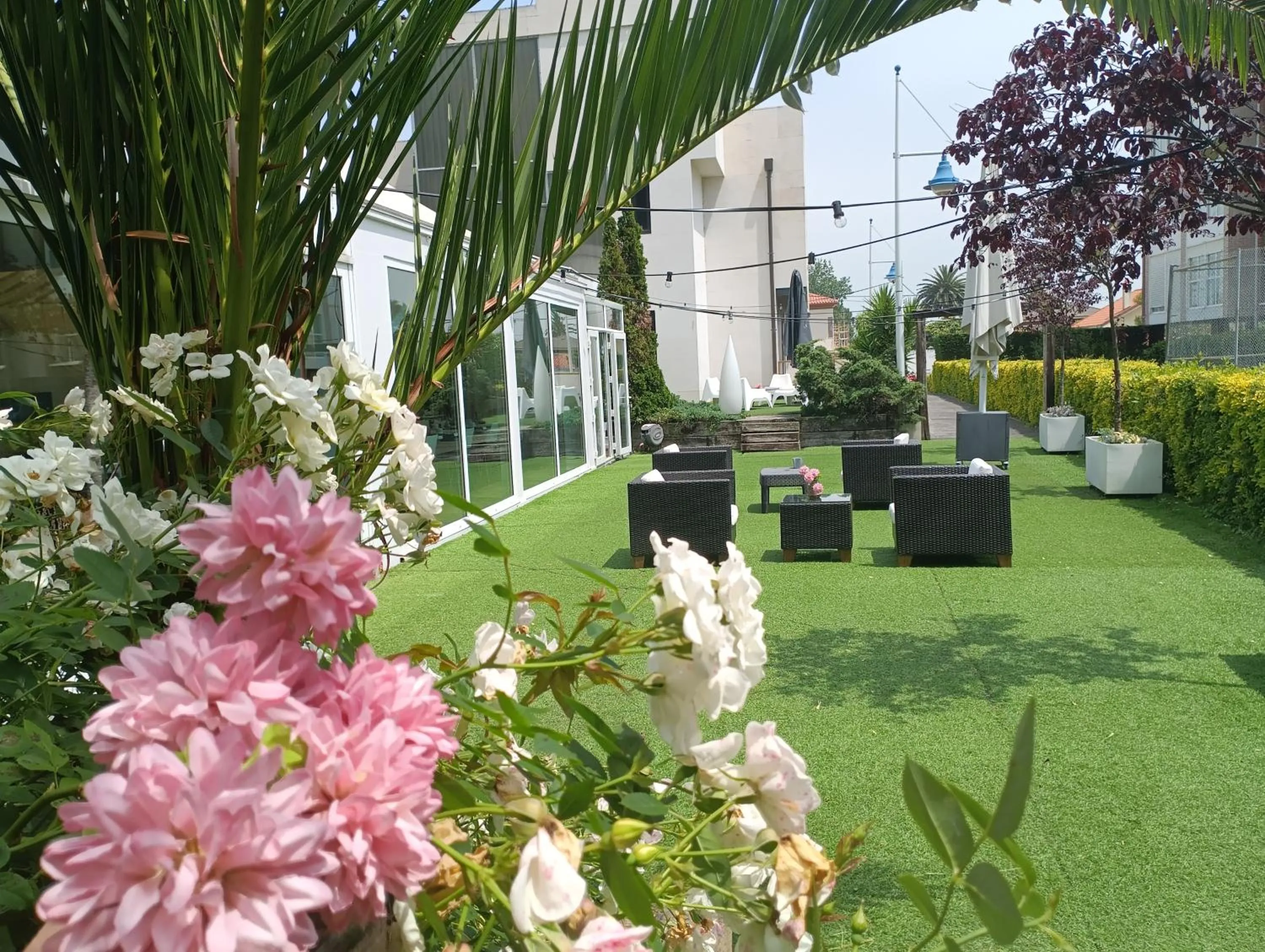 Garden in Hotel Playa Ribera