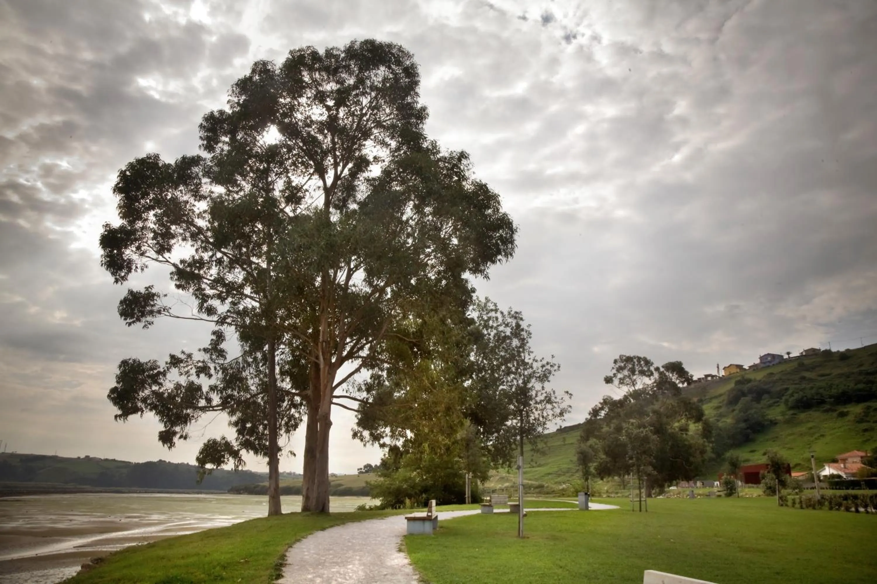 Nearby landmark in Hotel Playa Ribera