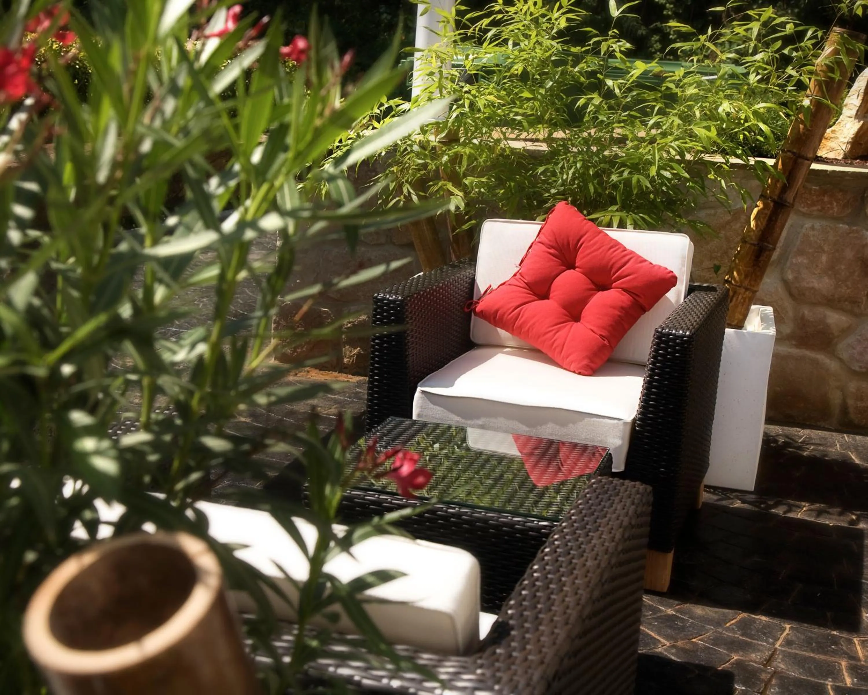 Garden in Hotel Playa Ribera