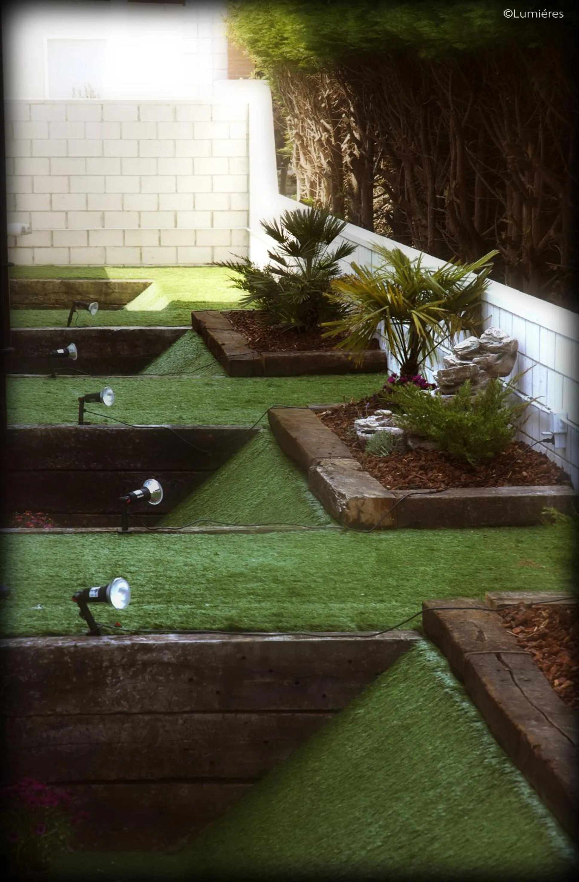 Garden in Hotel Playa Ribera