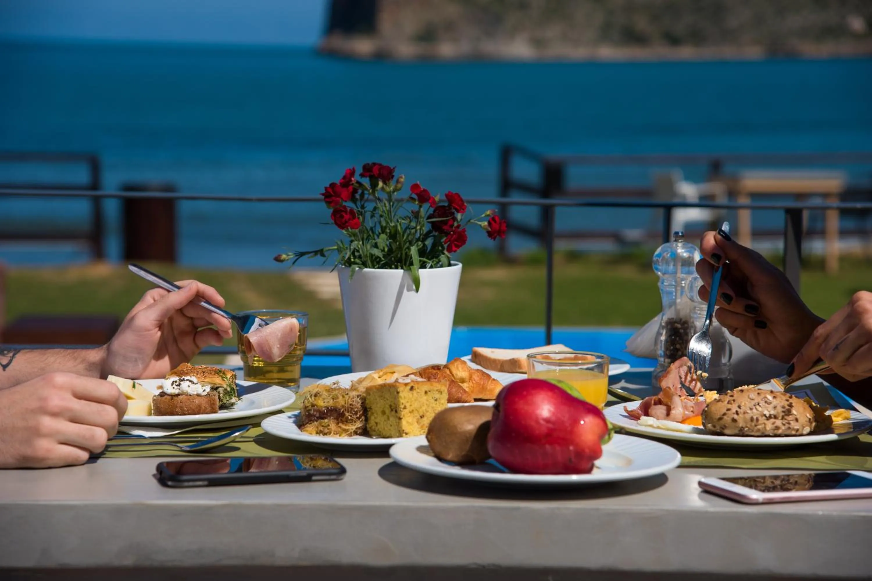 Food and drinks in Elia Agia Marina Hotel