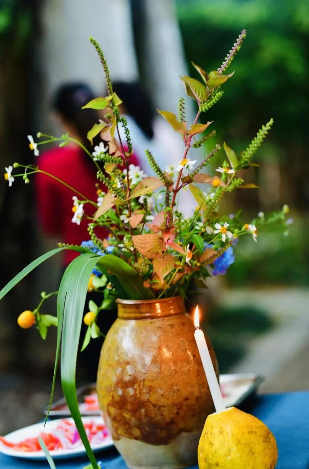 Nirvana Organic Farm Inn