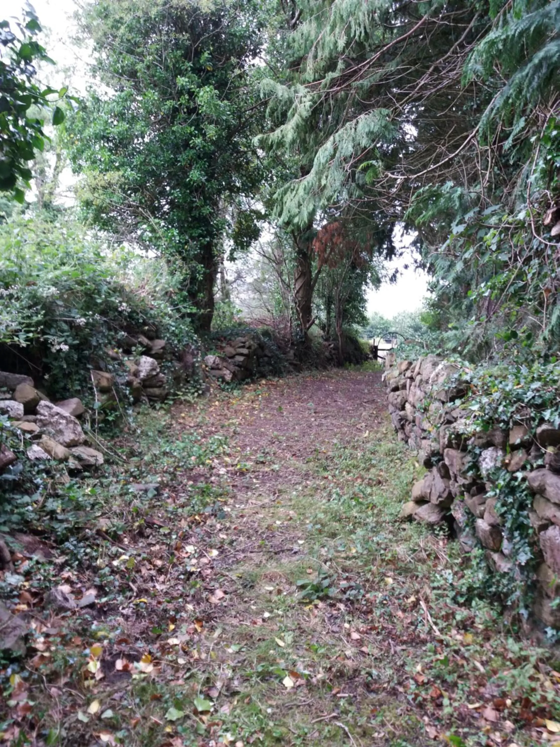Natural landscape in Macreddin Rock Bed & Breakfast