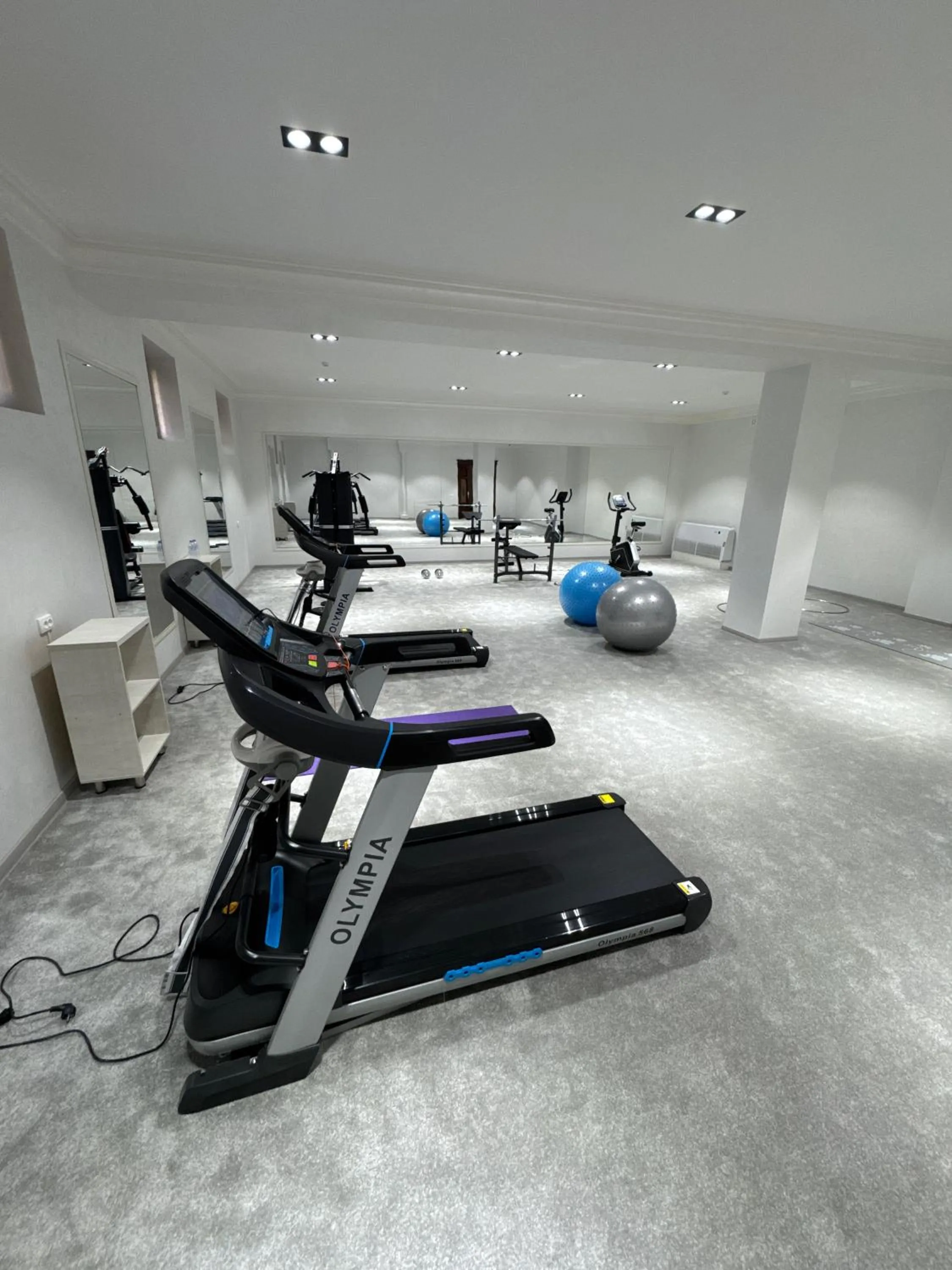 Fitness centre/facilities in Ark Hotel