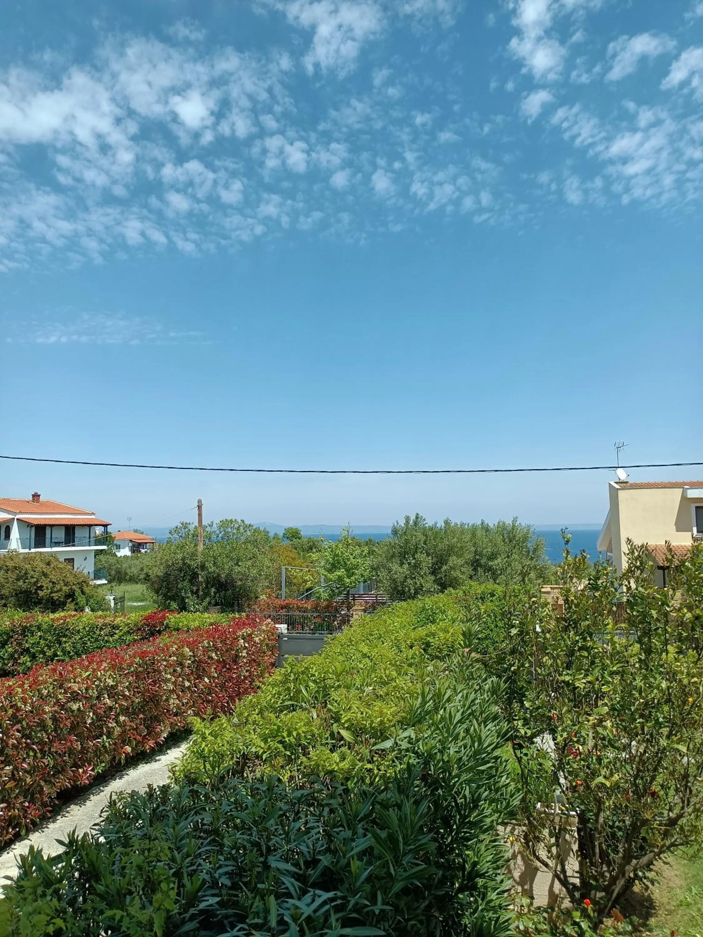View (from property/room) in Marios Garden House