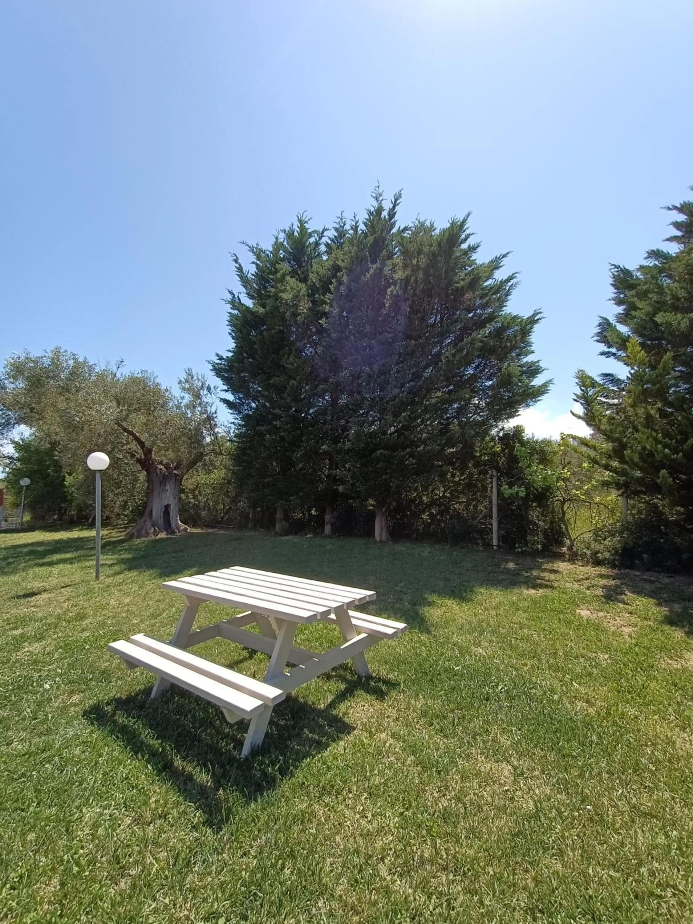 Garden in Marios Garden House