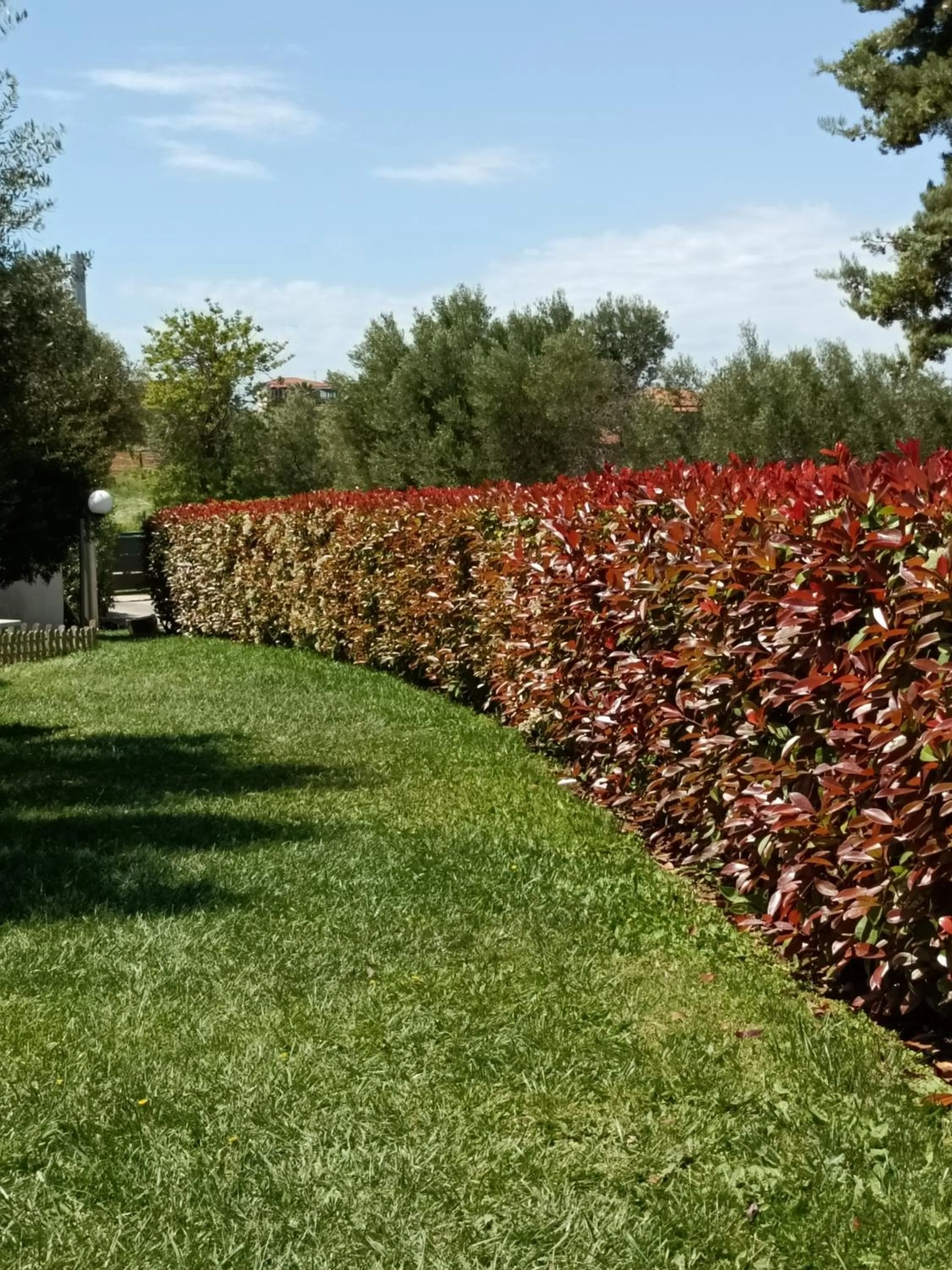 Garden in Marios Garden House