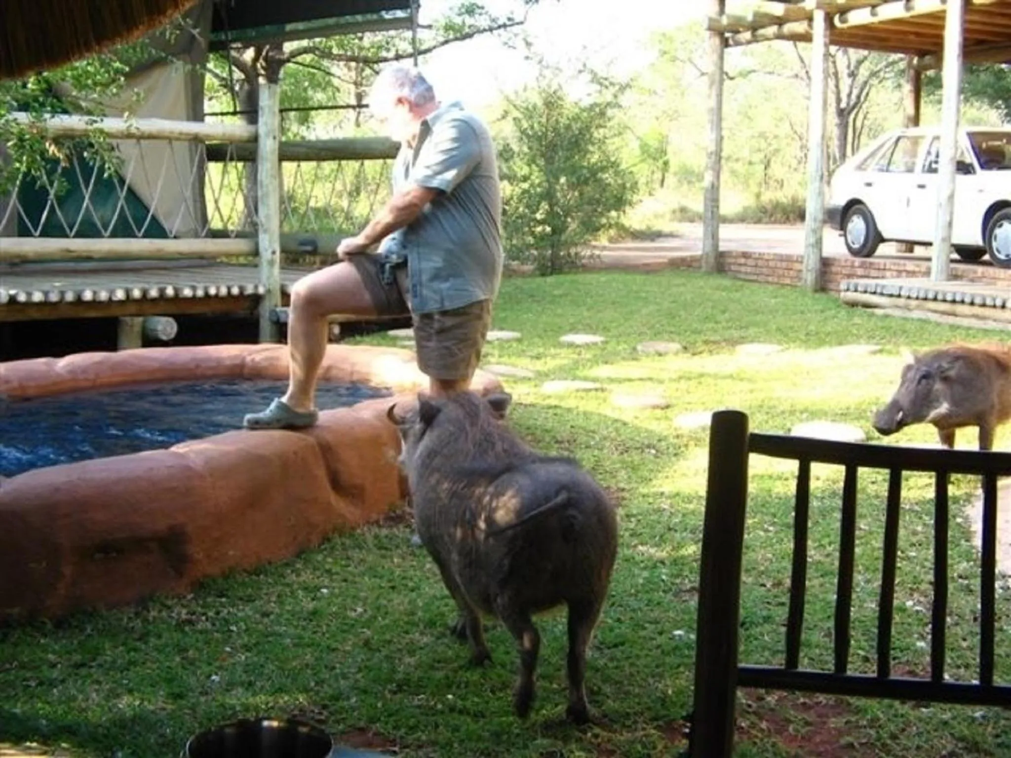 Day in Jackalberry Ridge by Dream Resorts