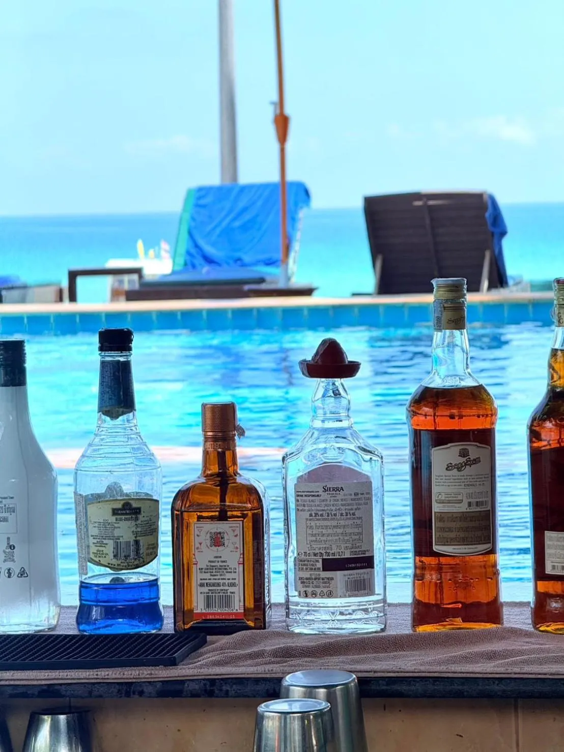 Lounge or bar in Dreamland Resort