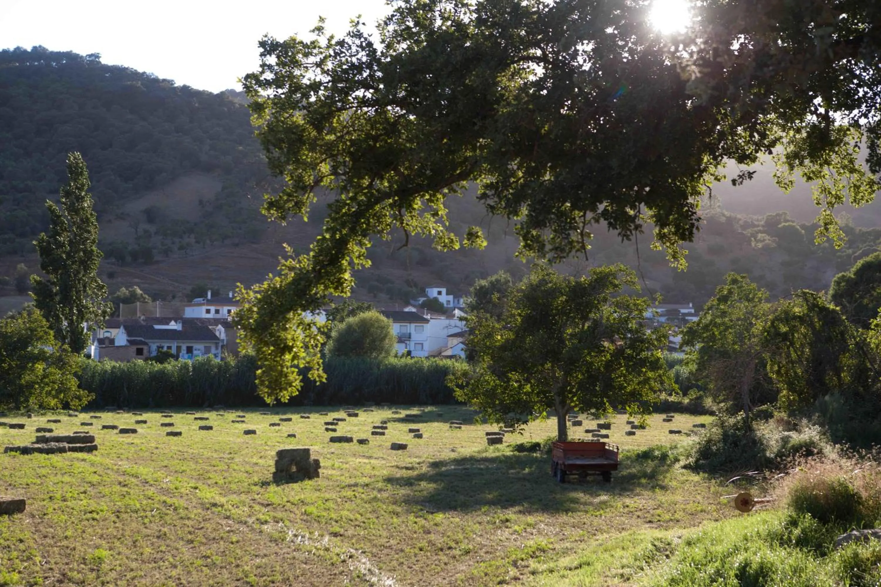 Neighbourhood in Finca La Rana Verde