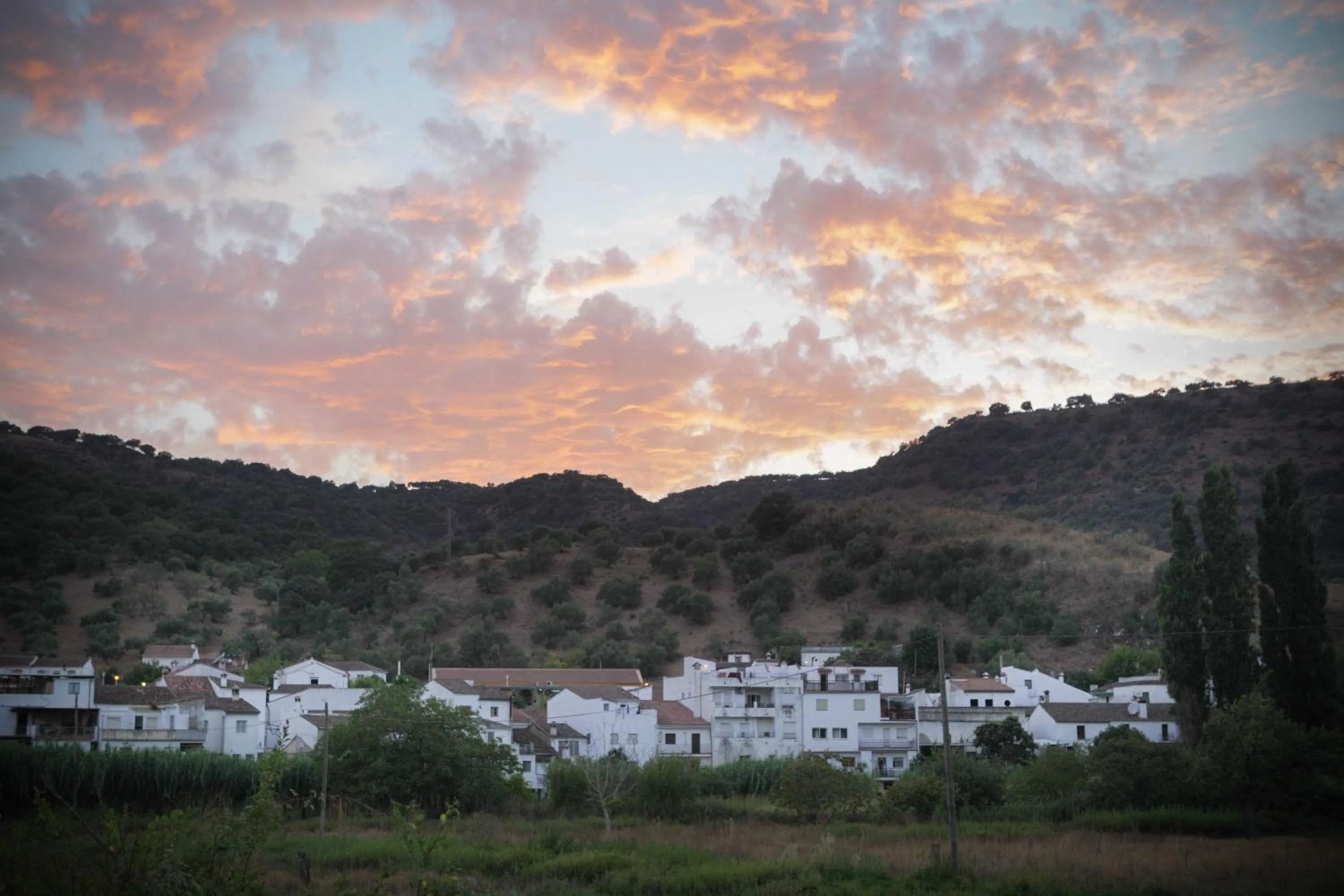Restaurant/places to eat in Finca La Rana Verde
